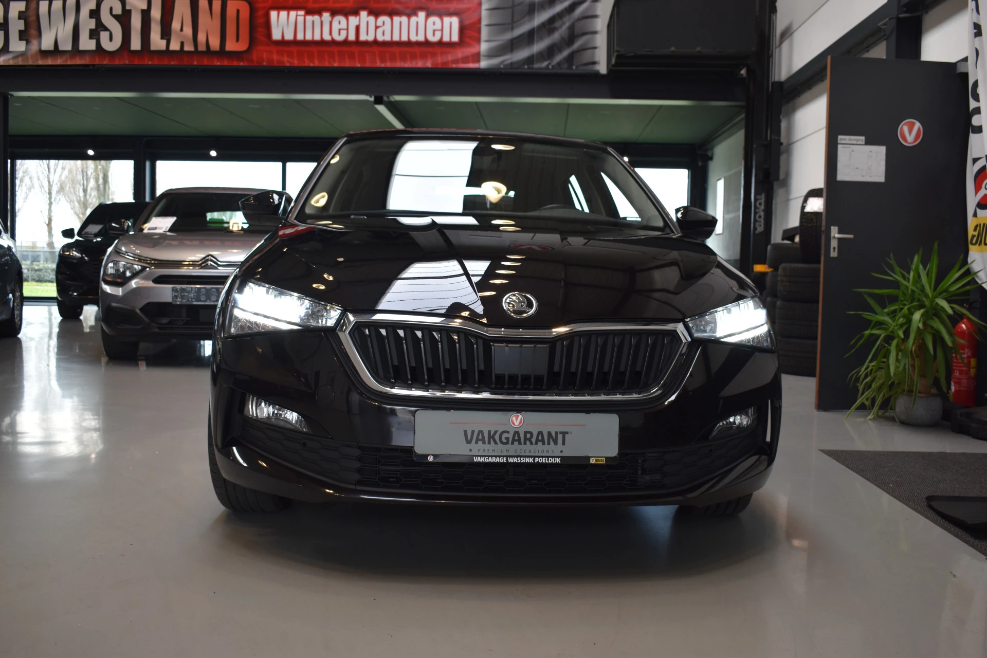 Hoofdafbeelding Škoda Scala