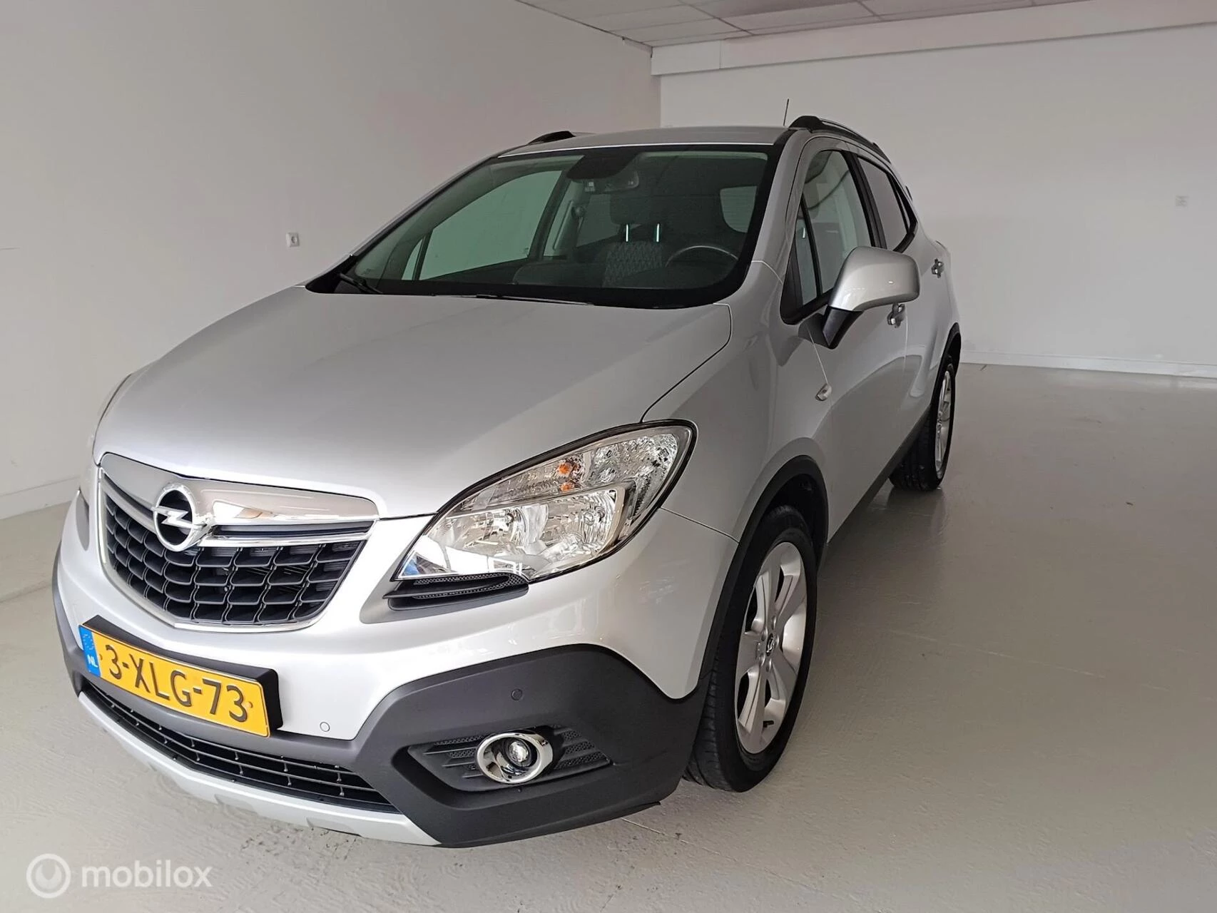 Hoofdafbeelding Opel Mokka