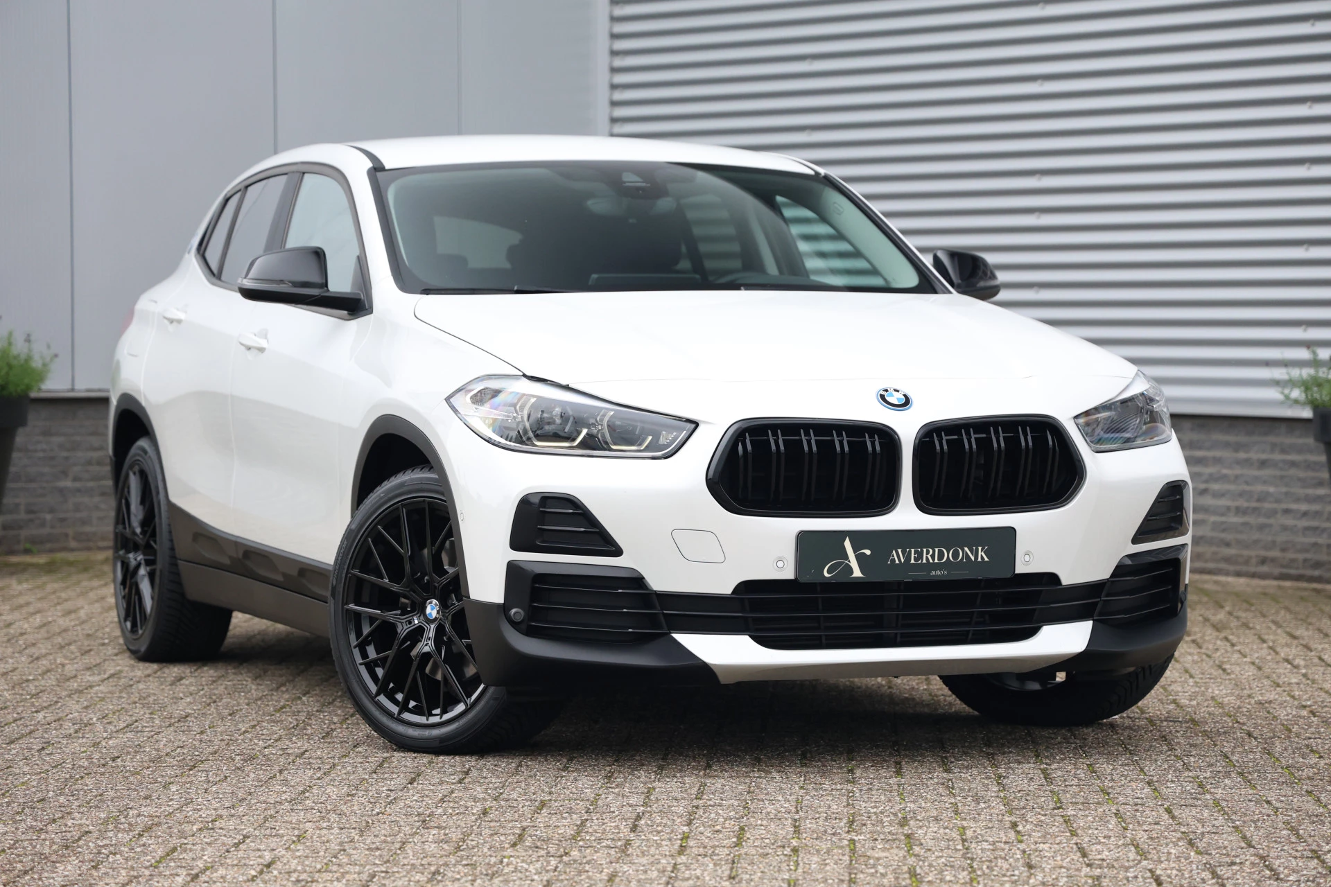 Hoofdafbeelding BMW X2