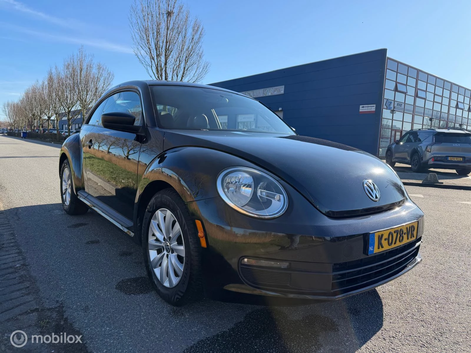 Hoofdafbeelding Volkswagen Beetle
