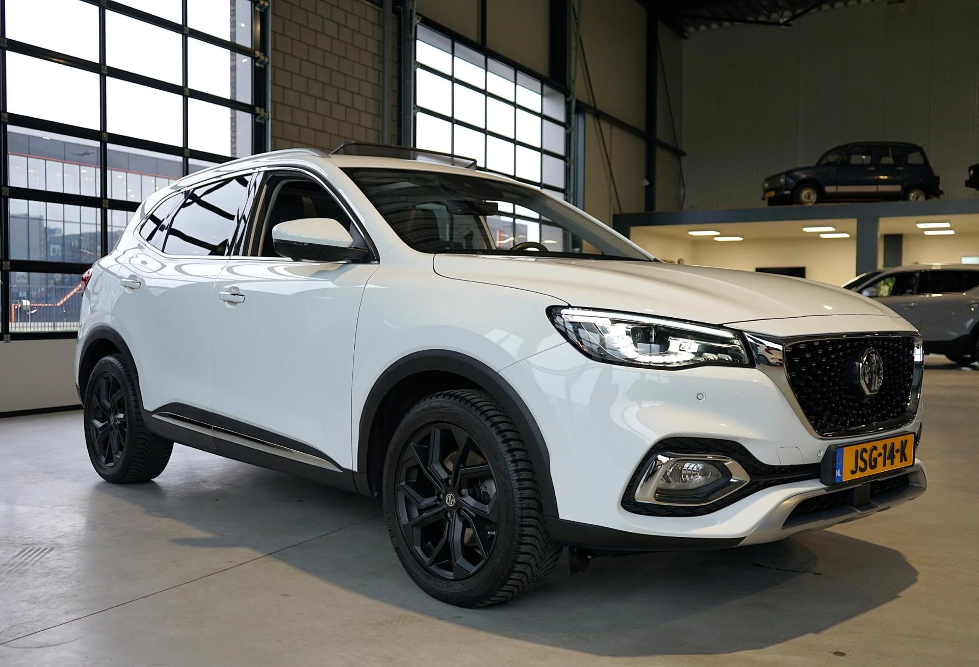 Hoofdafbeelding MG EHS