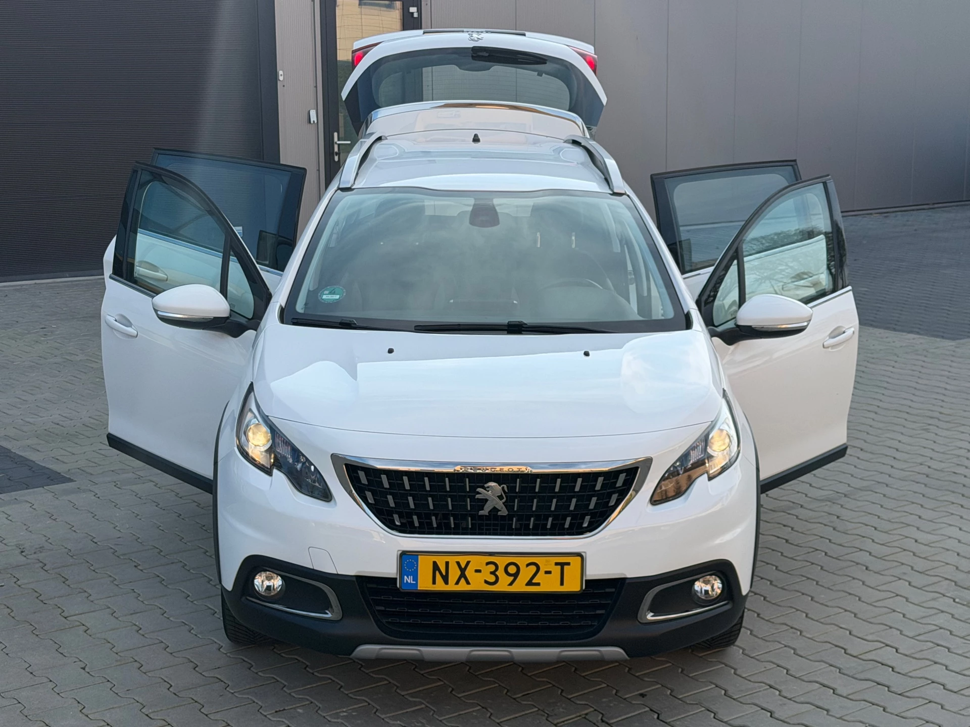Hoofdafbeelding Peugeot 2008