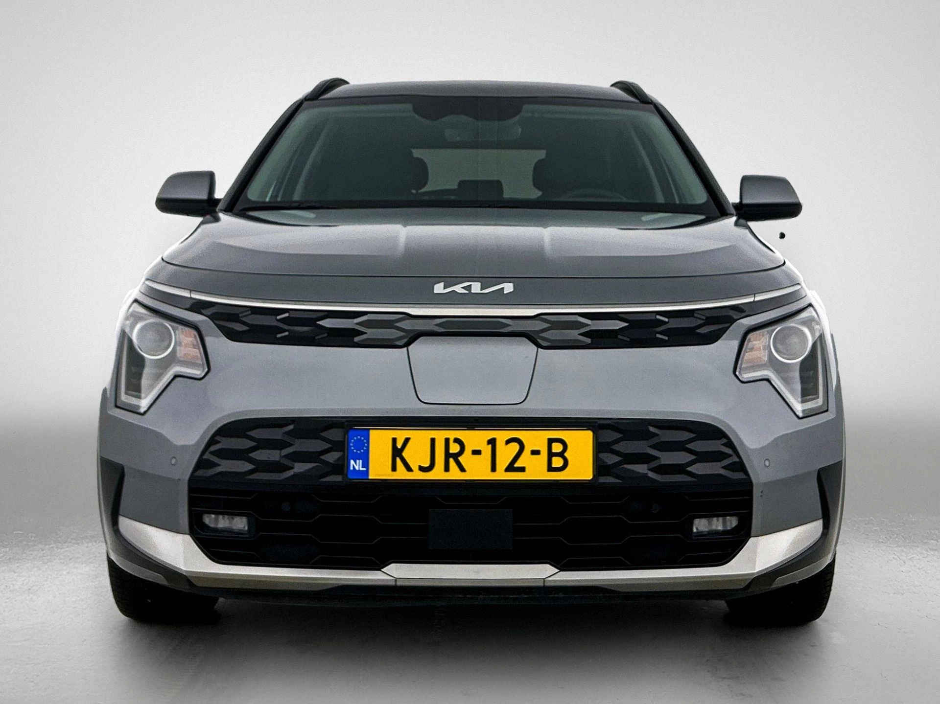 Hoofdafbeelding Kia Niro EV
