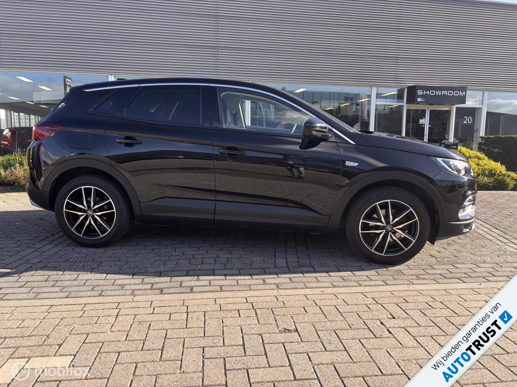 Hoofdafbeelding Opel Grandland X