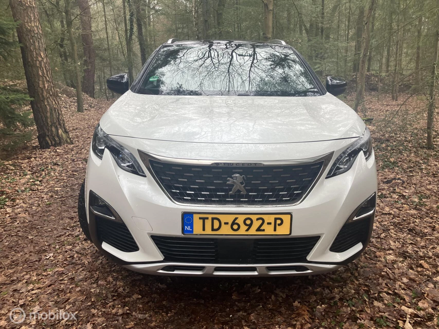 Hoofdafbeelding Peugeot 3008