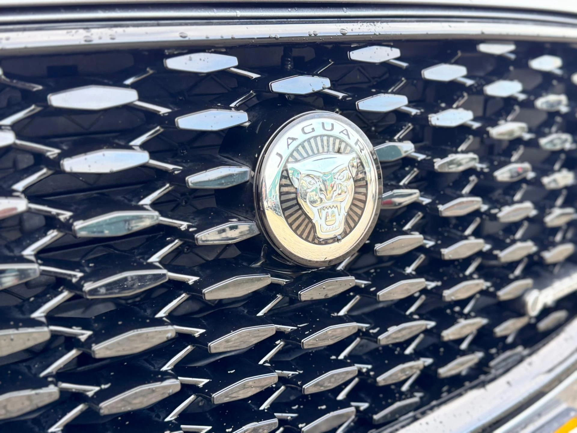 Hoofdafbeelding Jaguar F-PACE
