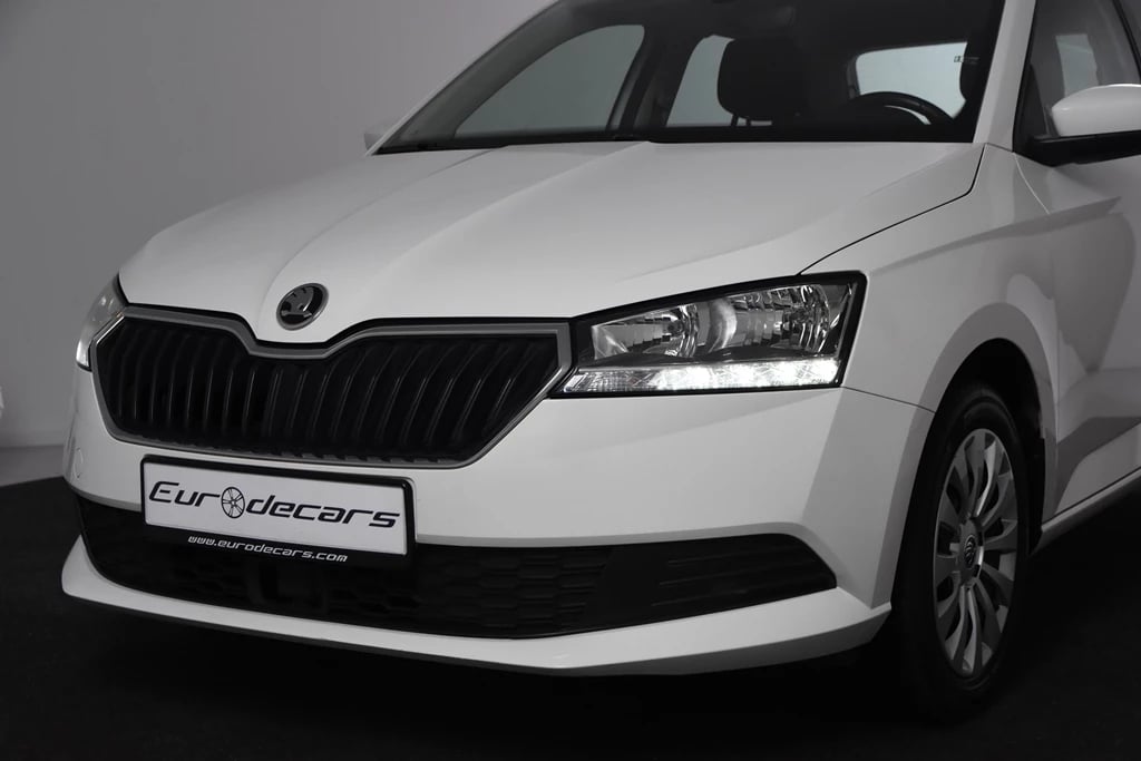 Hoofdafbeelding Škoda Fabia