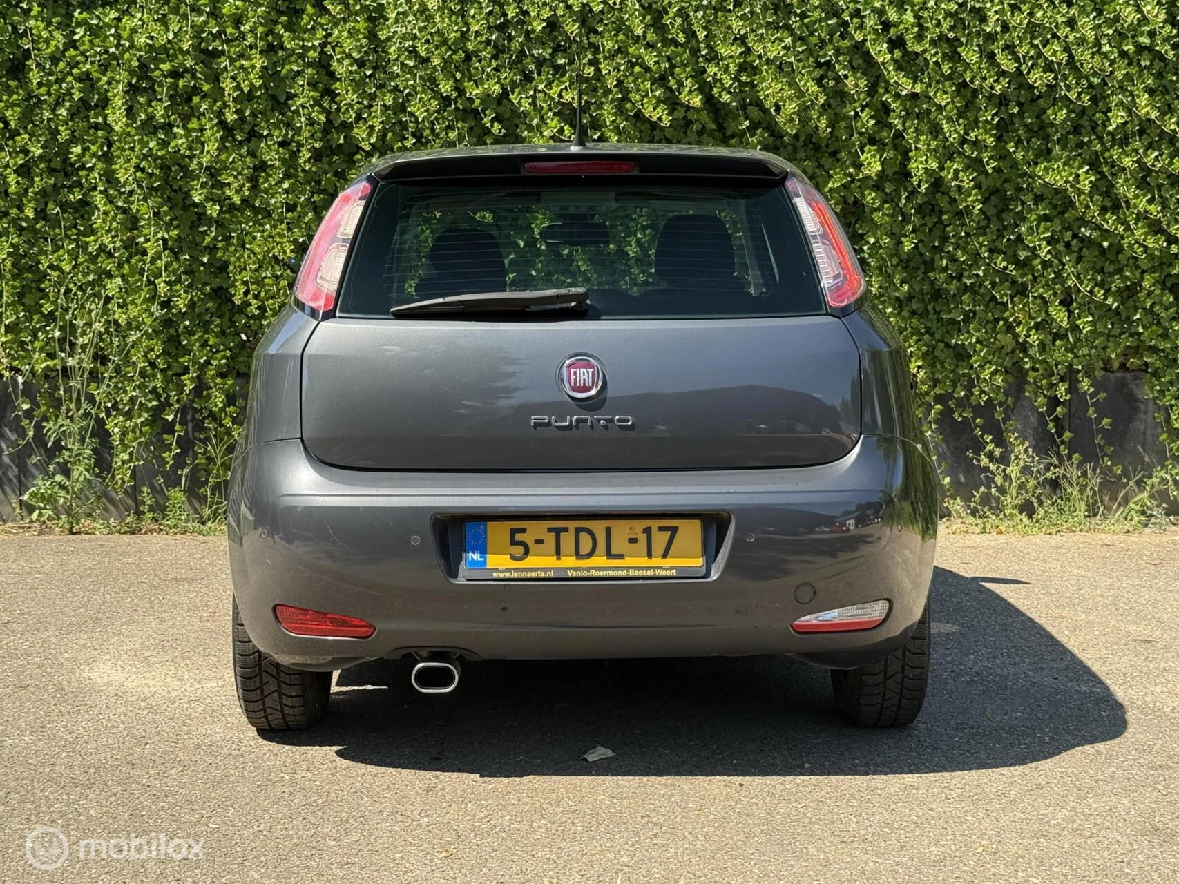 Hoofdafbeelding Fiat Punto
