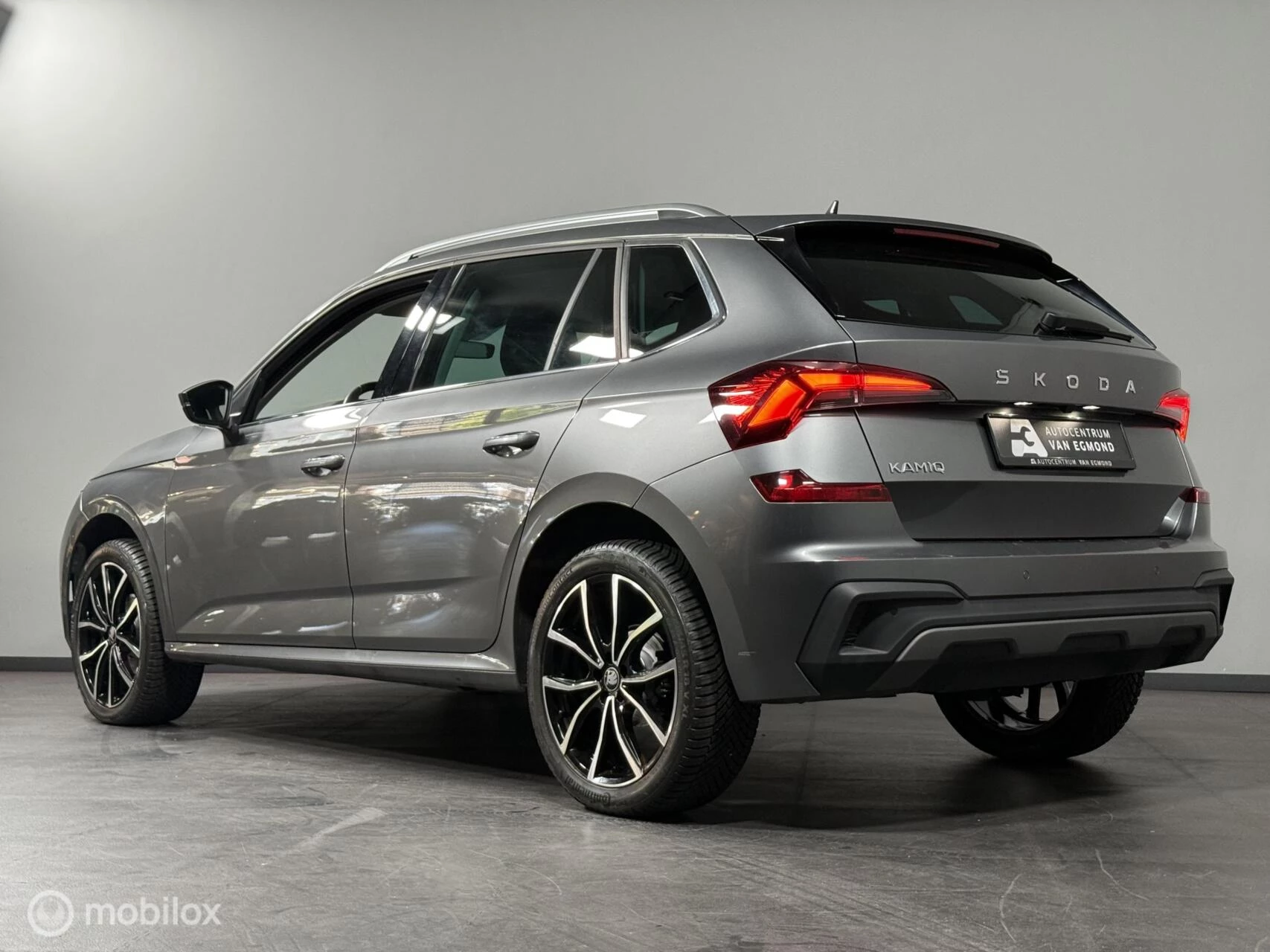 Hoofdafbeelding Škoda Kamiq