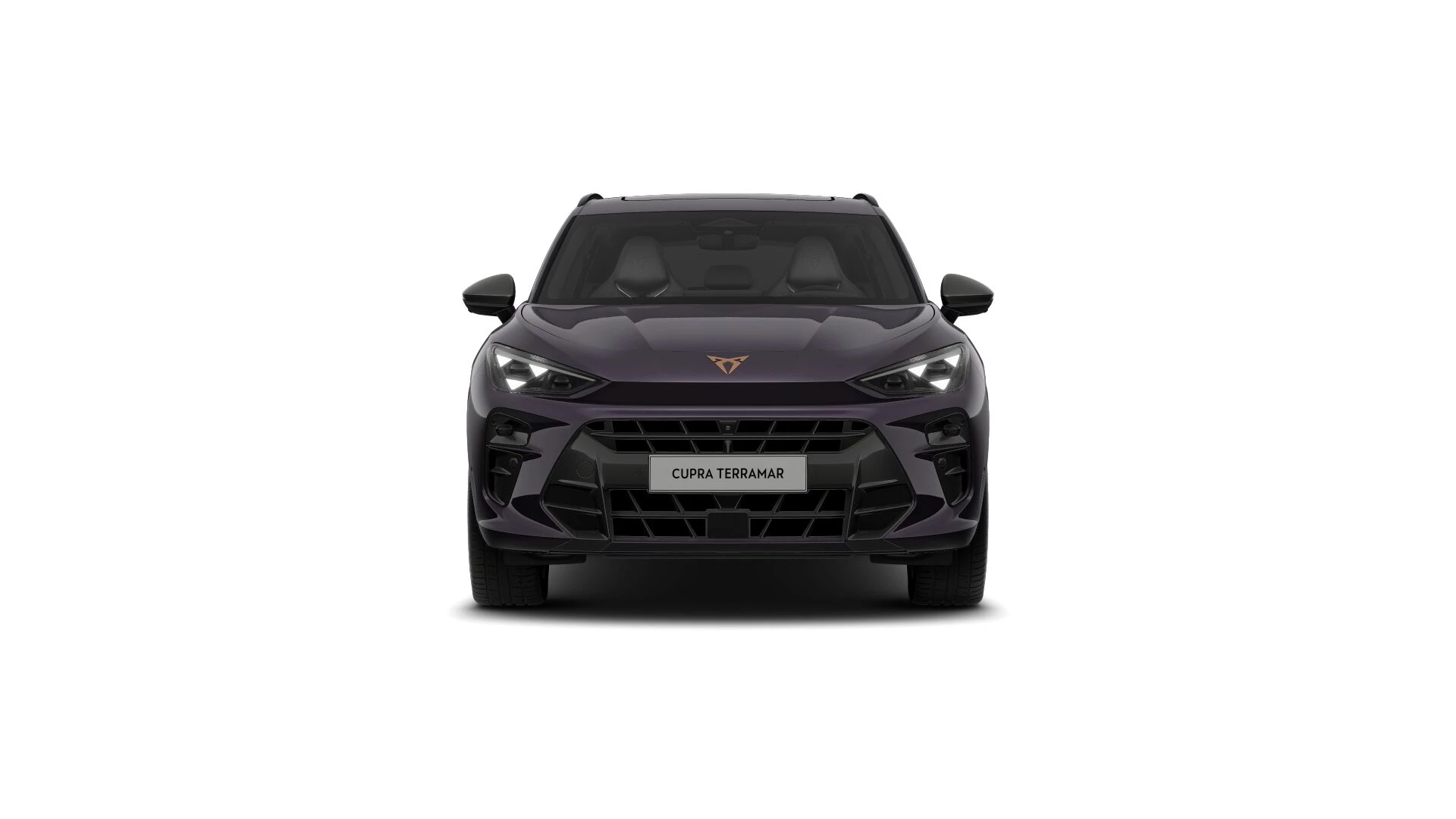 Hoofdafbeelding CUPRA Terramar