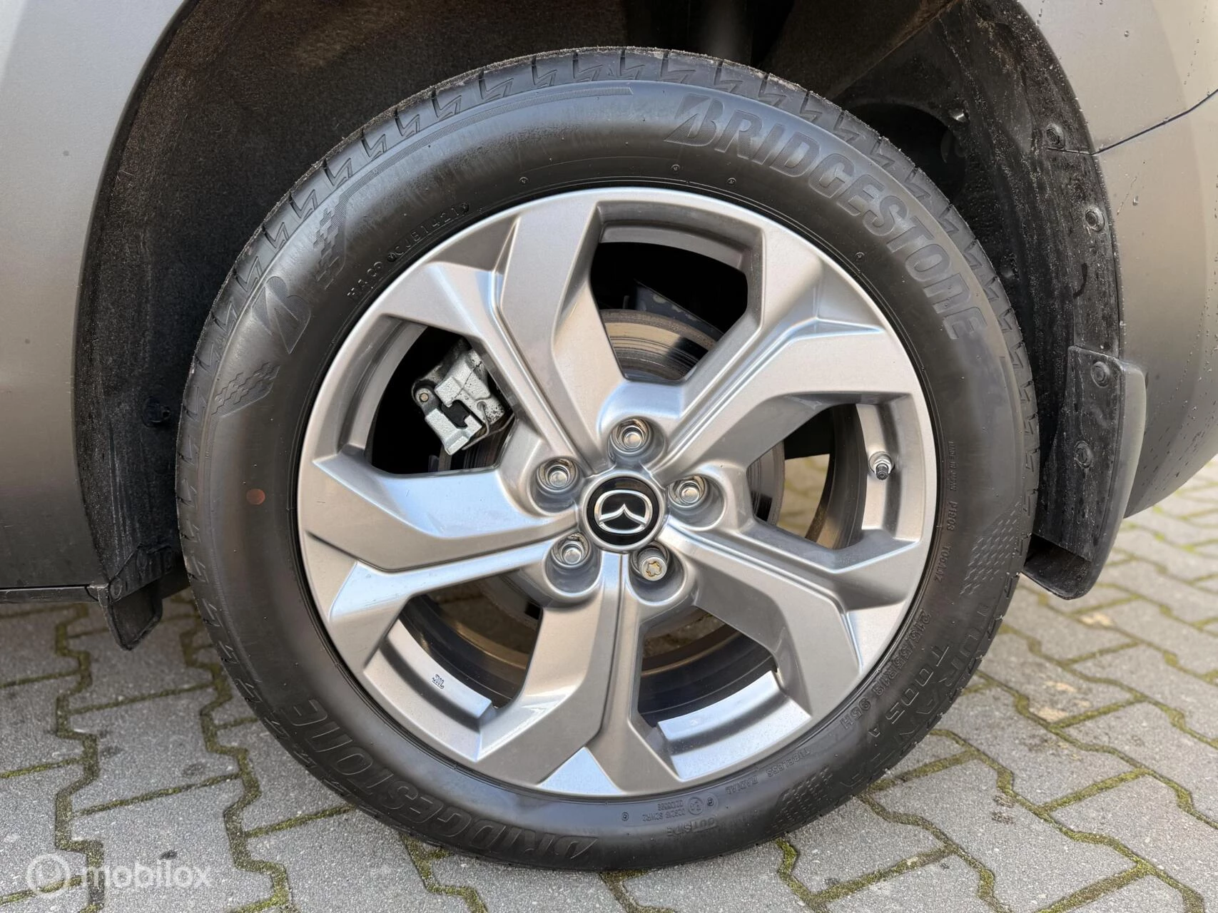 Hoofdafbeelding Mazda MX-30