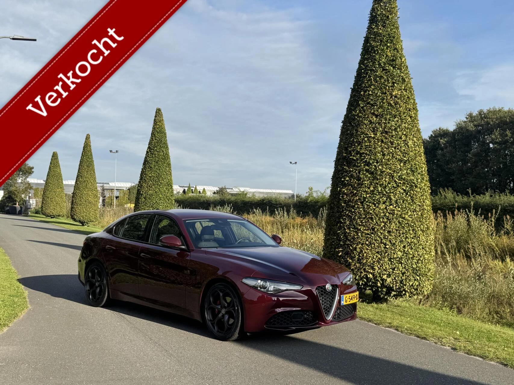 Hoofdafbeelding Alfa Romeo Giulia