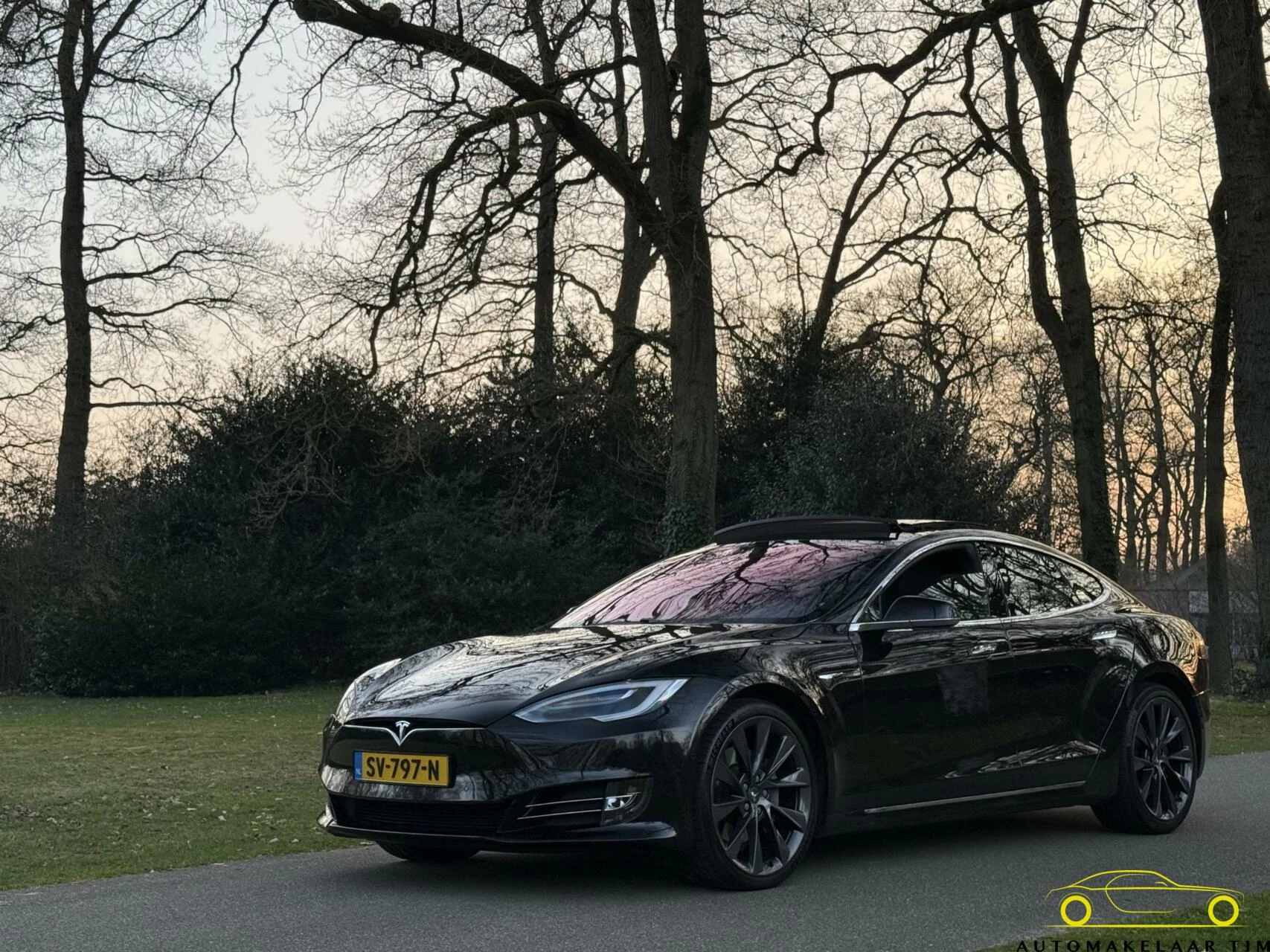 Hoofdafbeelding Tesla Model S