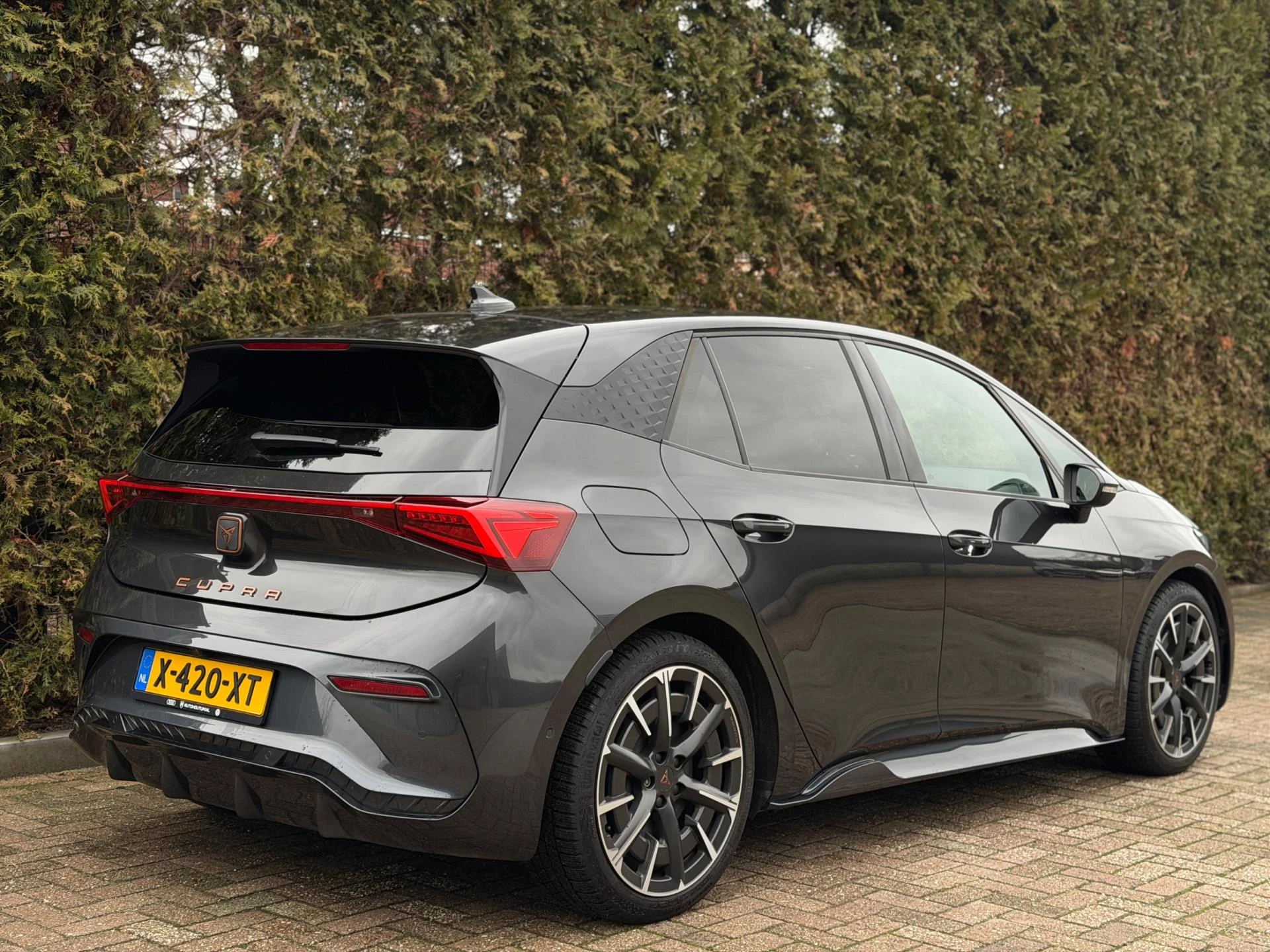 Hoofdafbeelding CUPRA Born