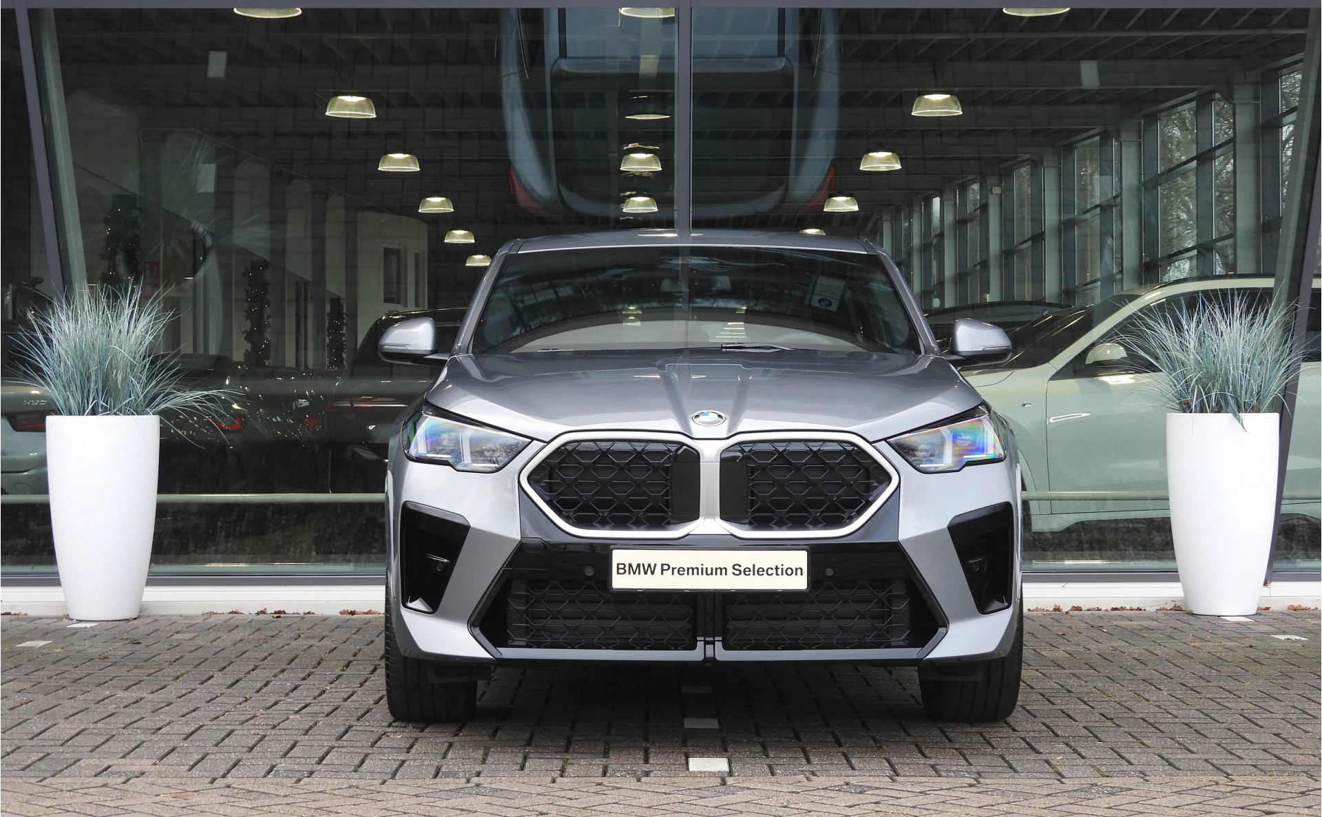 Hoofdafbeelding BMW X2