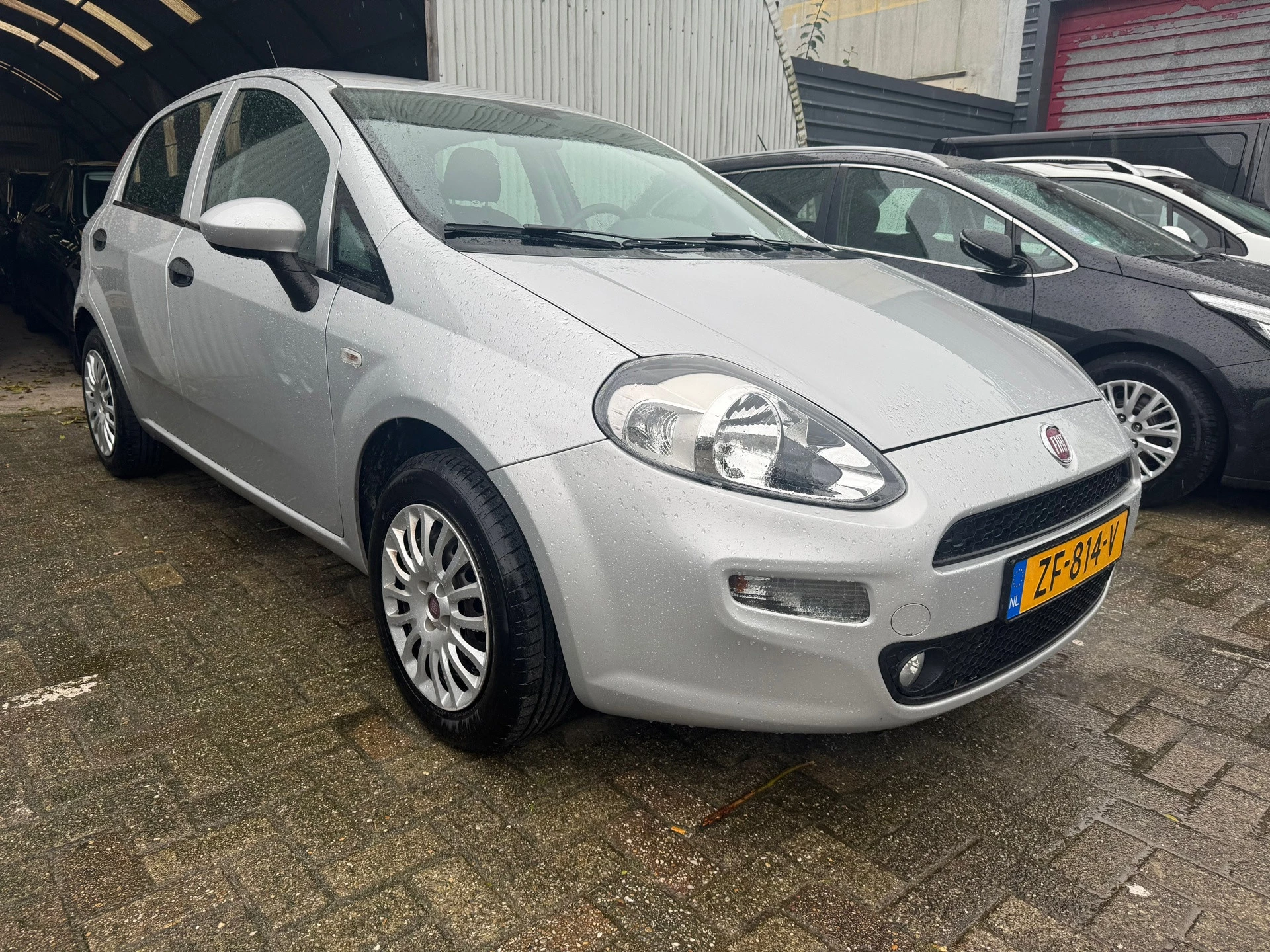 Hoofdafbeelding Fiat Punto