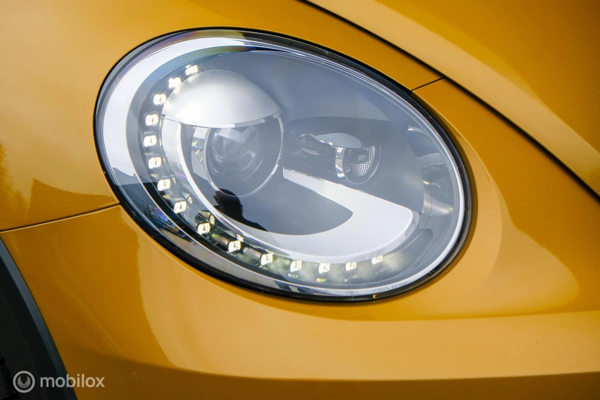 Hoofdafbeelding Volkswagen Beetle