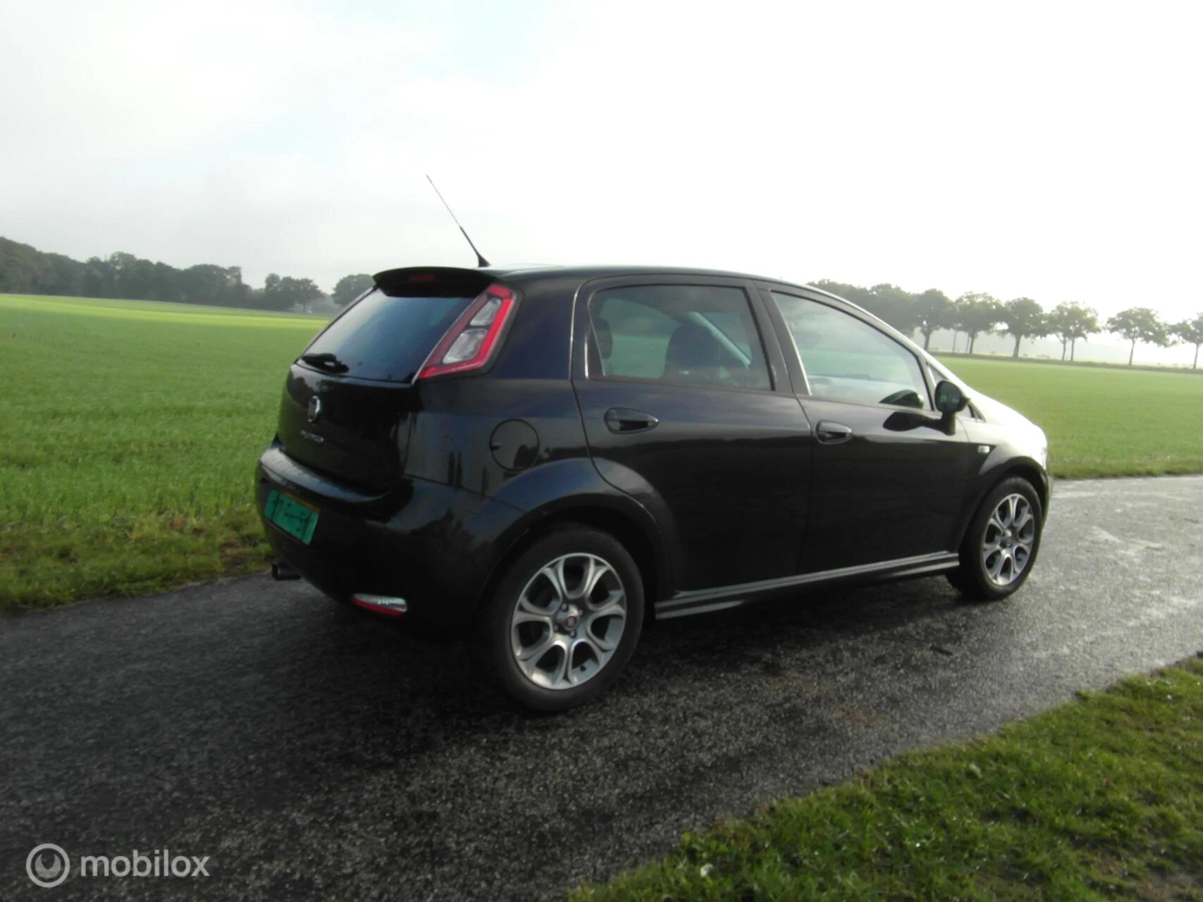 Hoofdafbeelding Fiat Punto