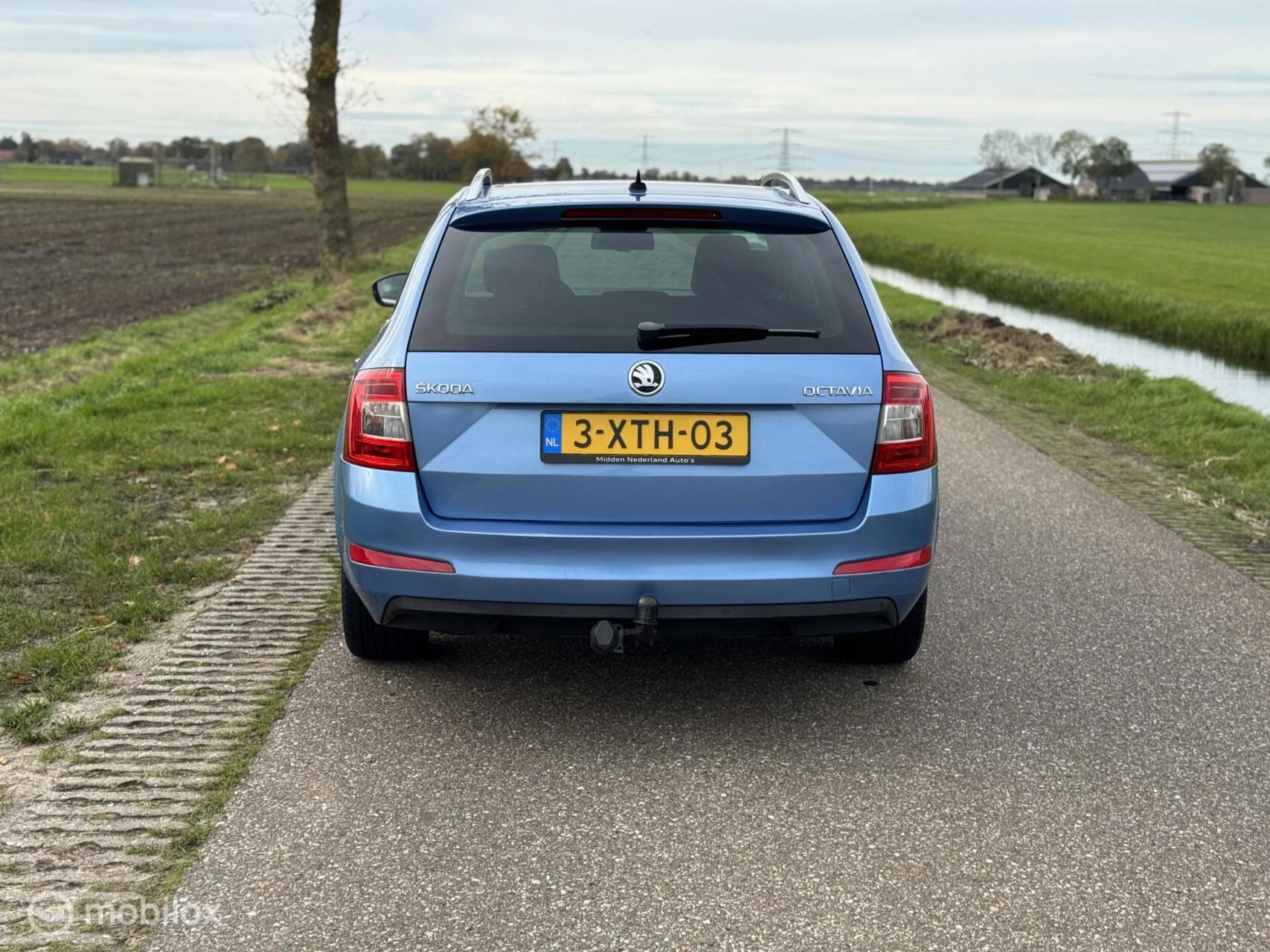 Hoofdafbeelding Škoda Octavia