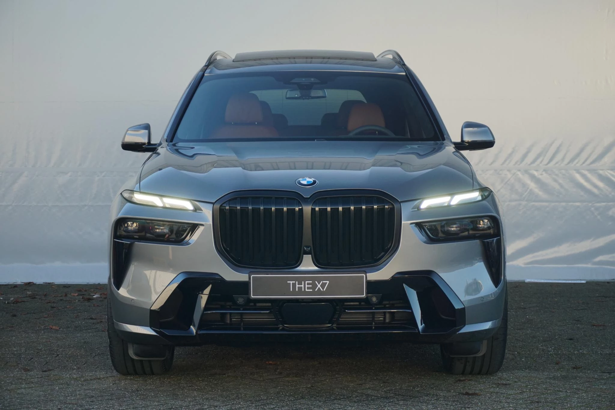 Hoofdafbeelding BMW X7