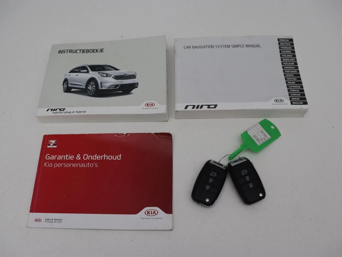 Hoofdafbeelding Kia Niro