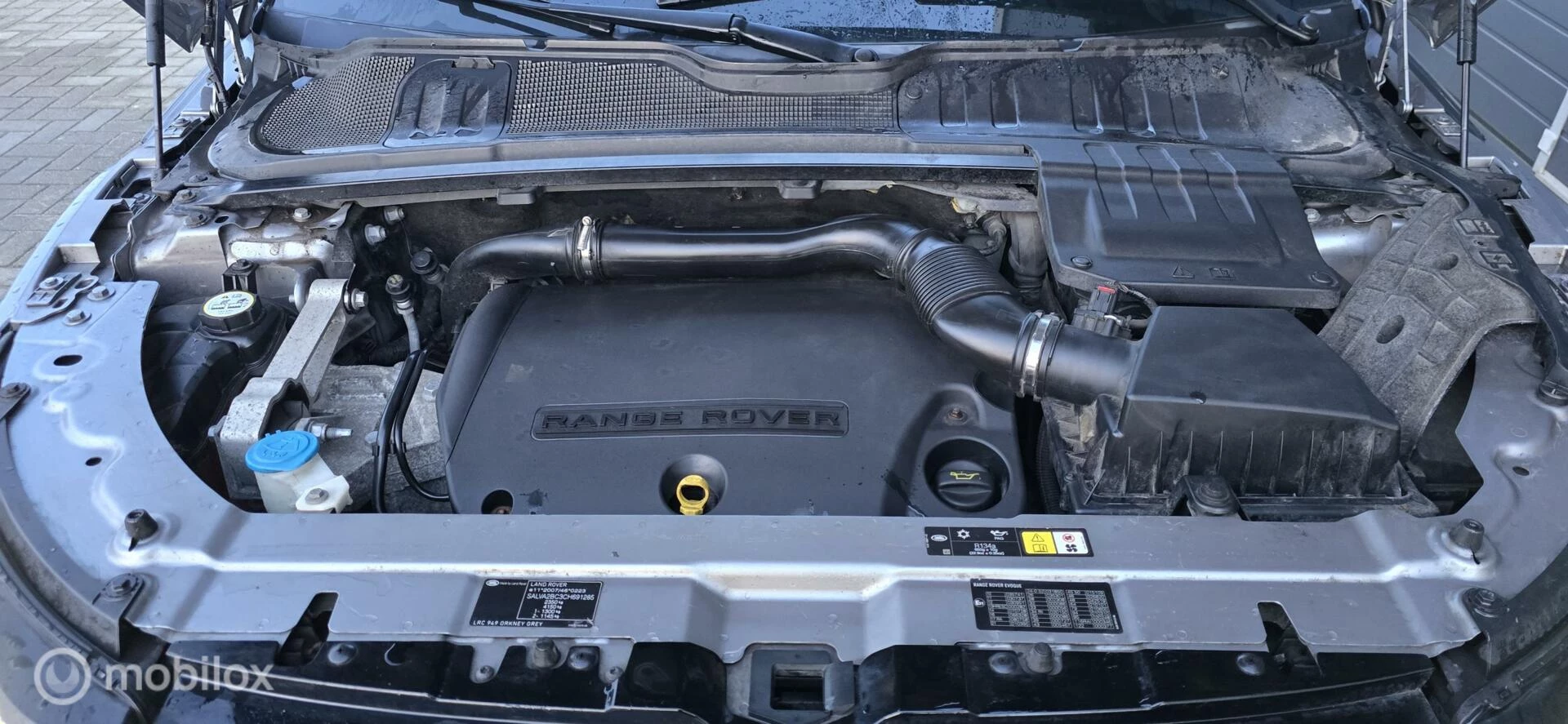 Hoofdafbeelding Land Rover Range Rover Evoque