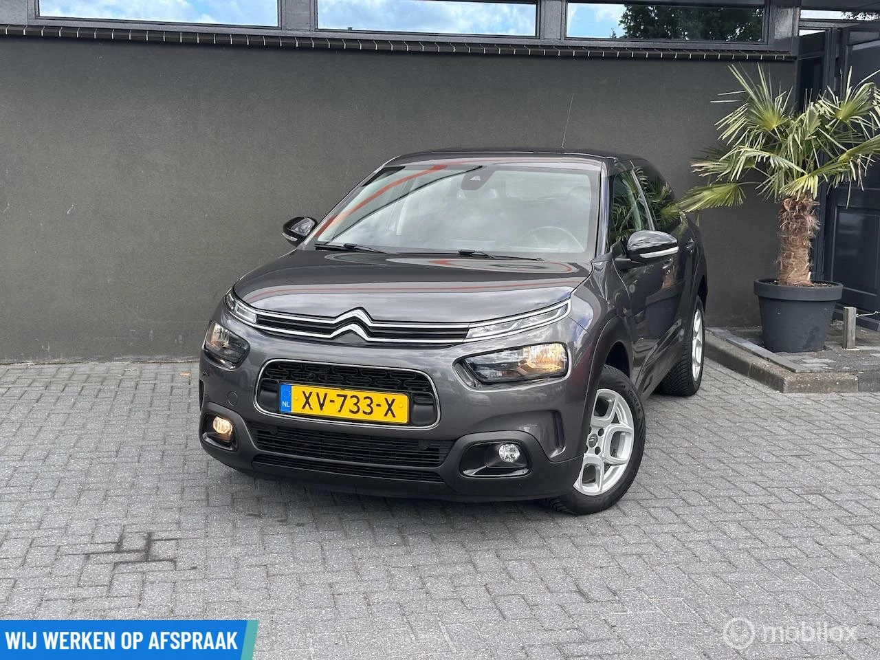 Hoofdafbeelding Citroën C4 Cactus