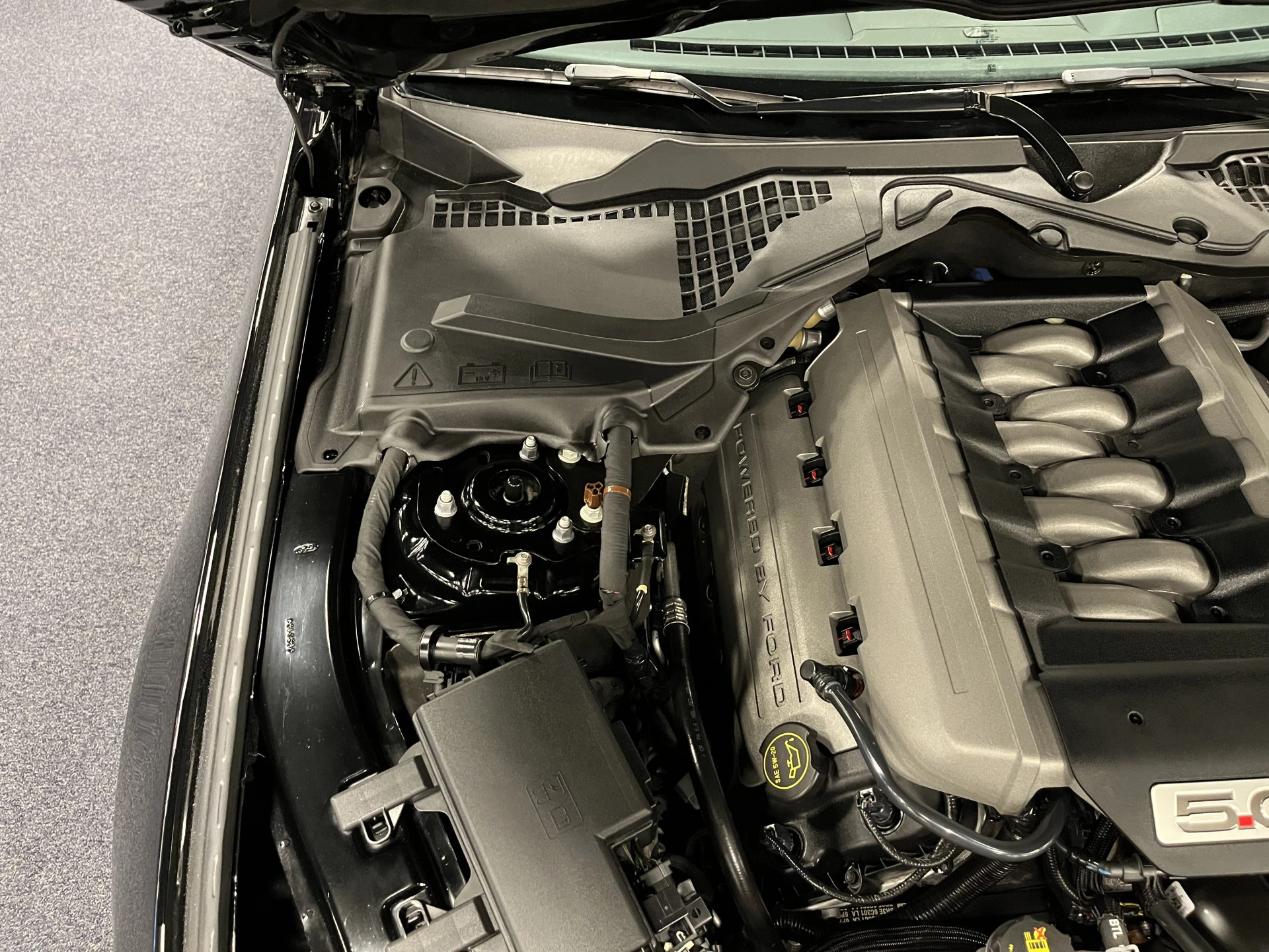 Hoofdafbeelding Ford Mustang