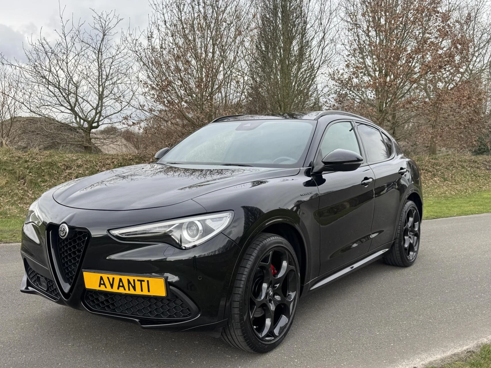 Hoofdafbeelding Alfa Romeo Stelvio