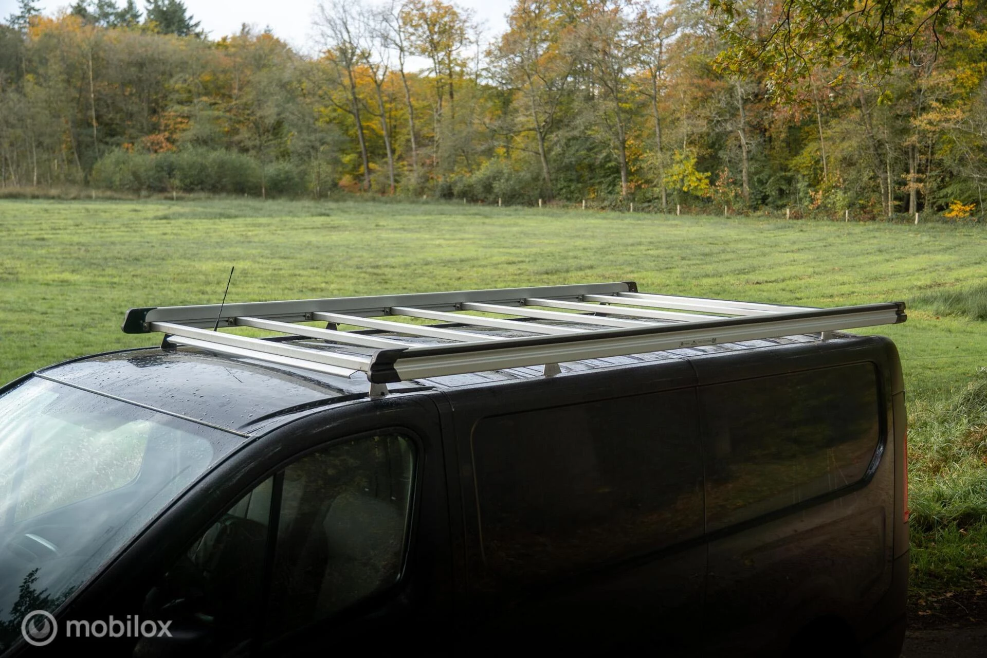 Hoofdafbeelding Fiat Talento