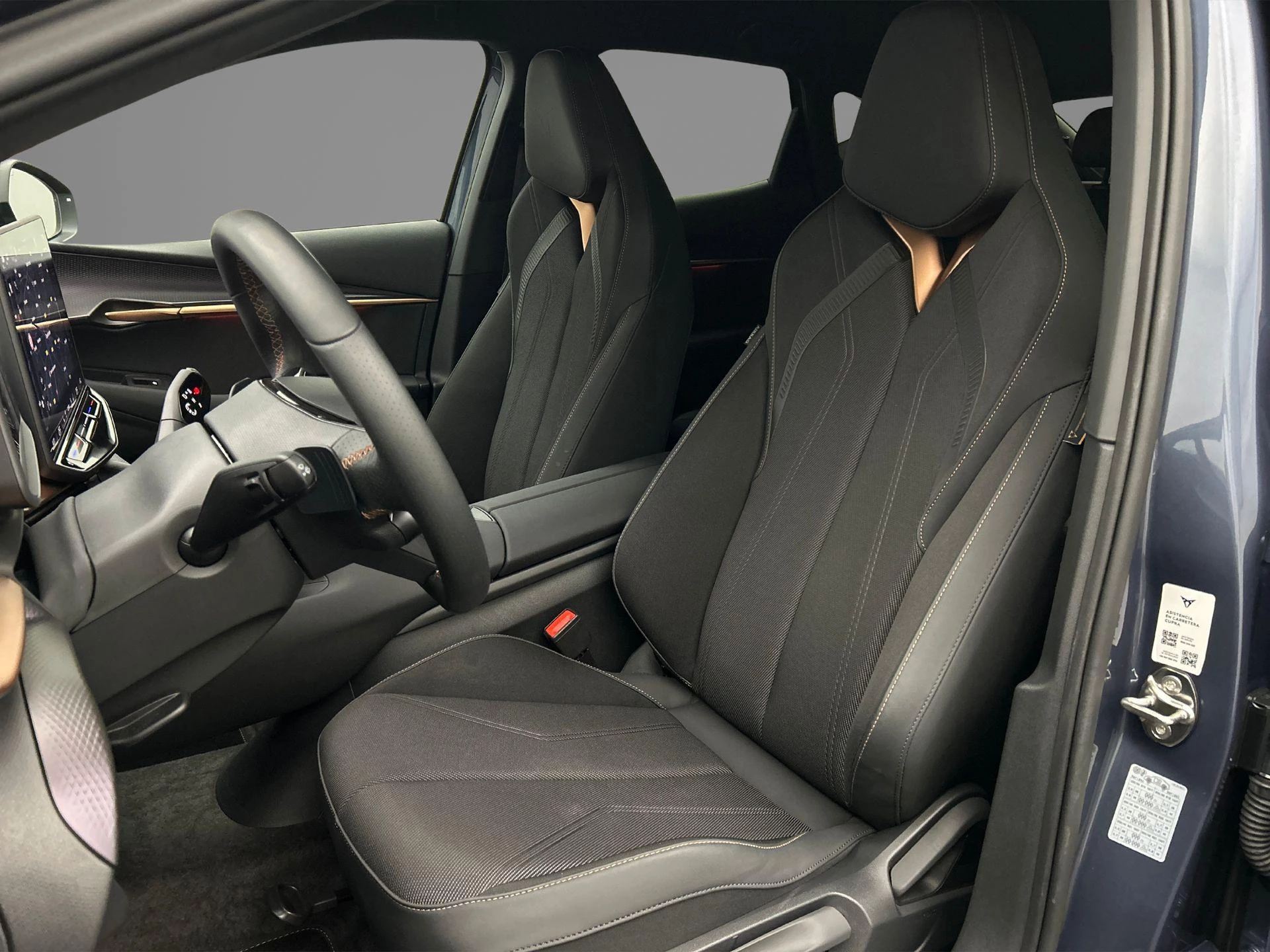 Hoofdafbeelding CUPRA Tavascan