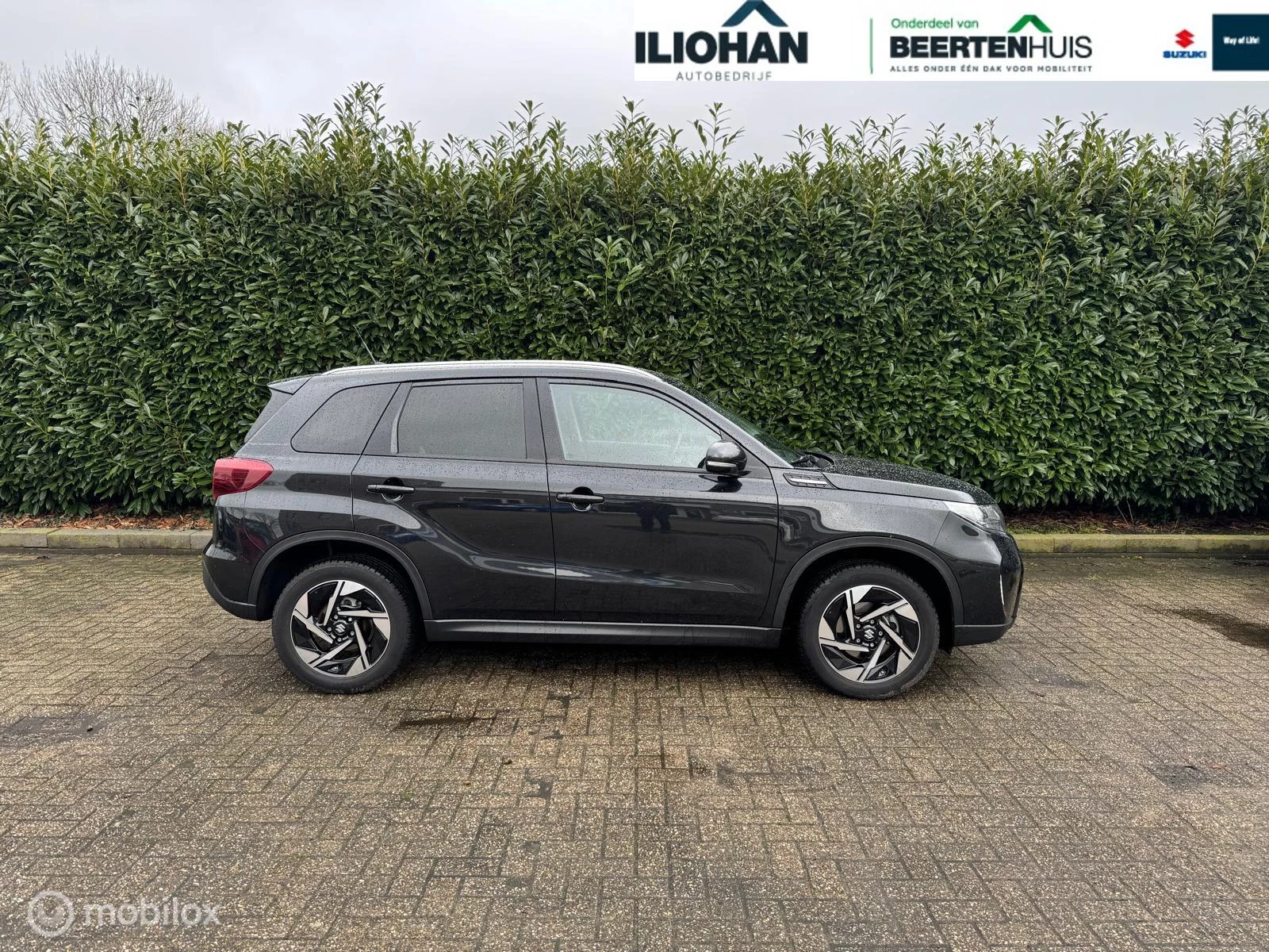 Hoofdafbeelding Suzuki Vitara