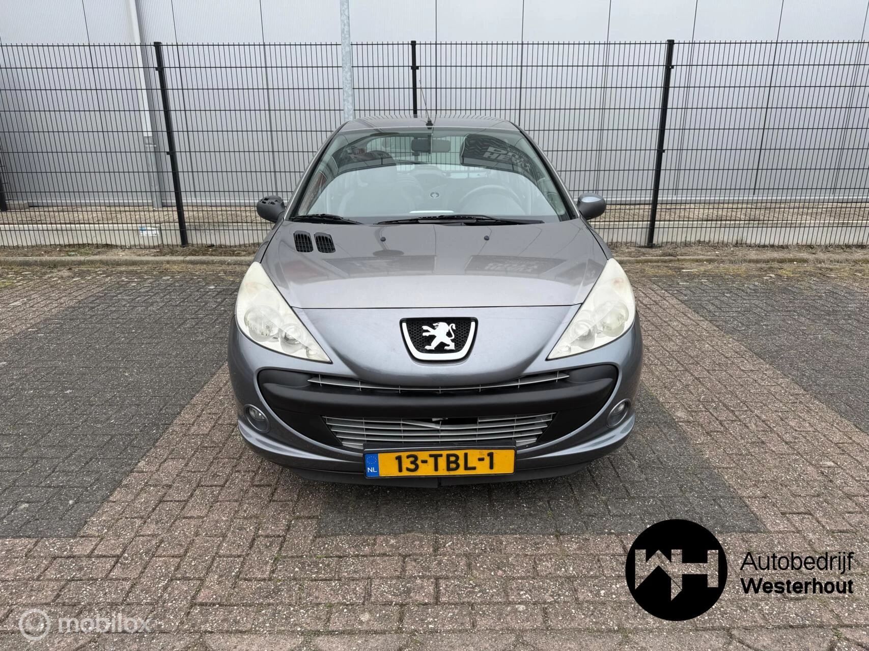 Hoofdafbeelding Peugeot 206