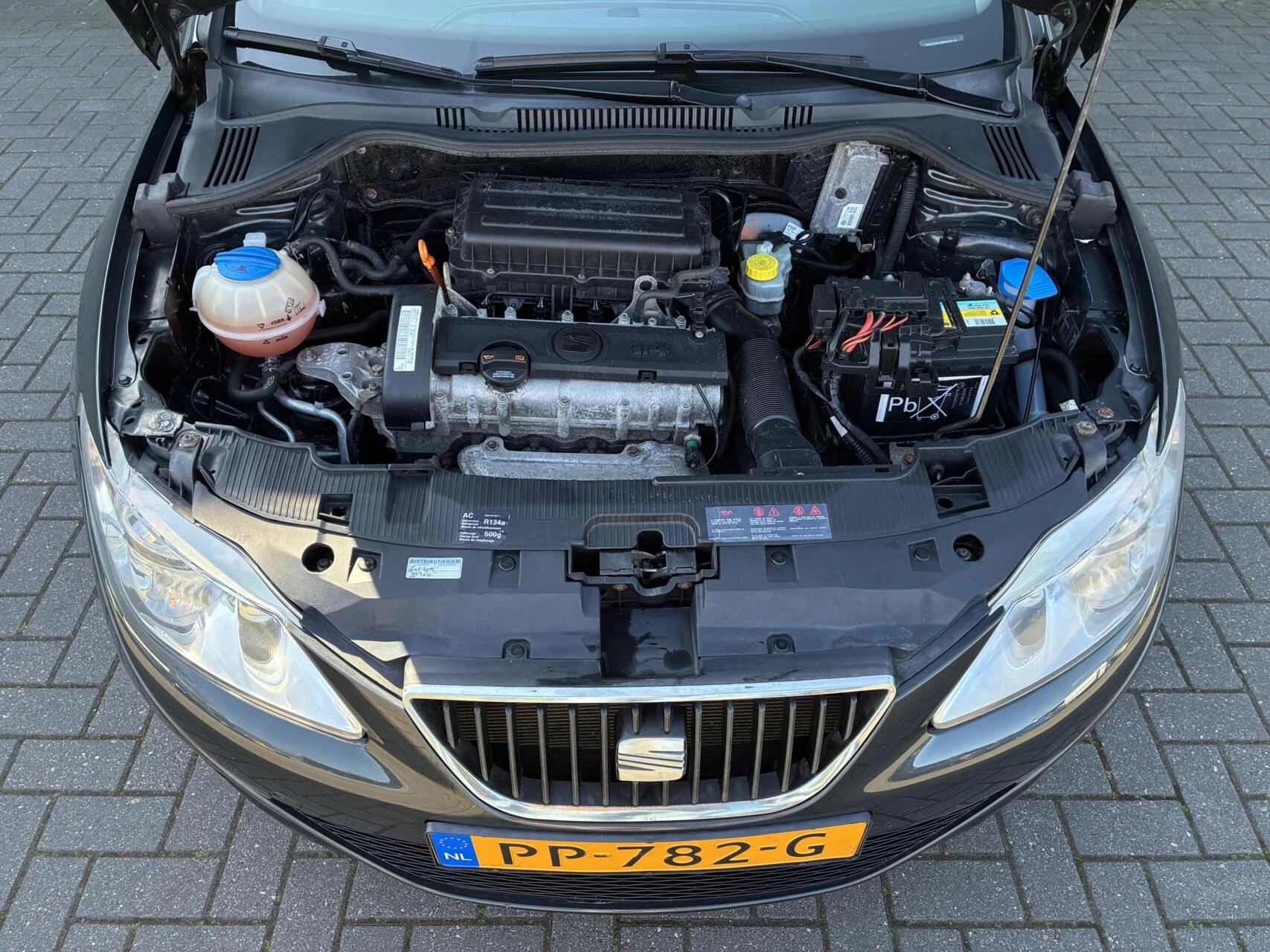 Hoofdafbeelding SEAT Ibiza
