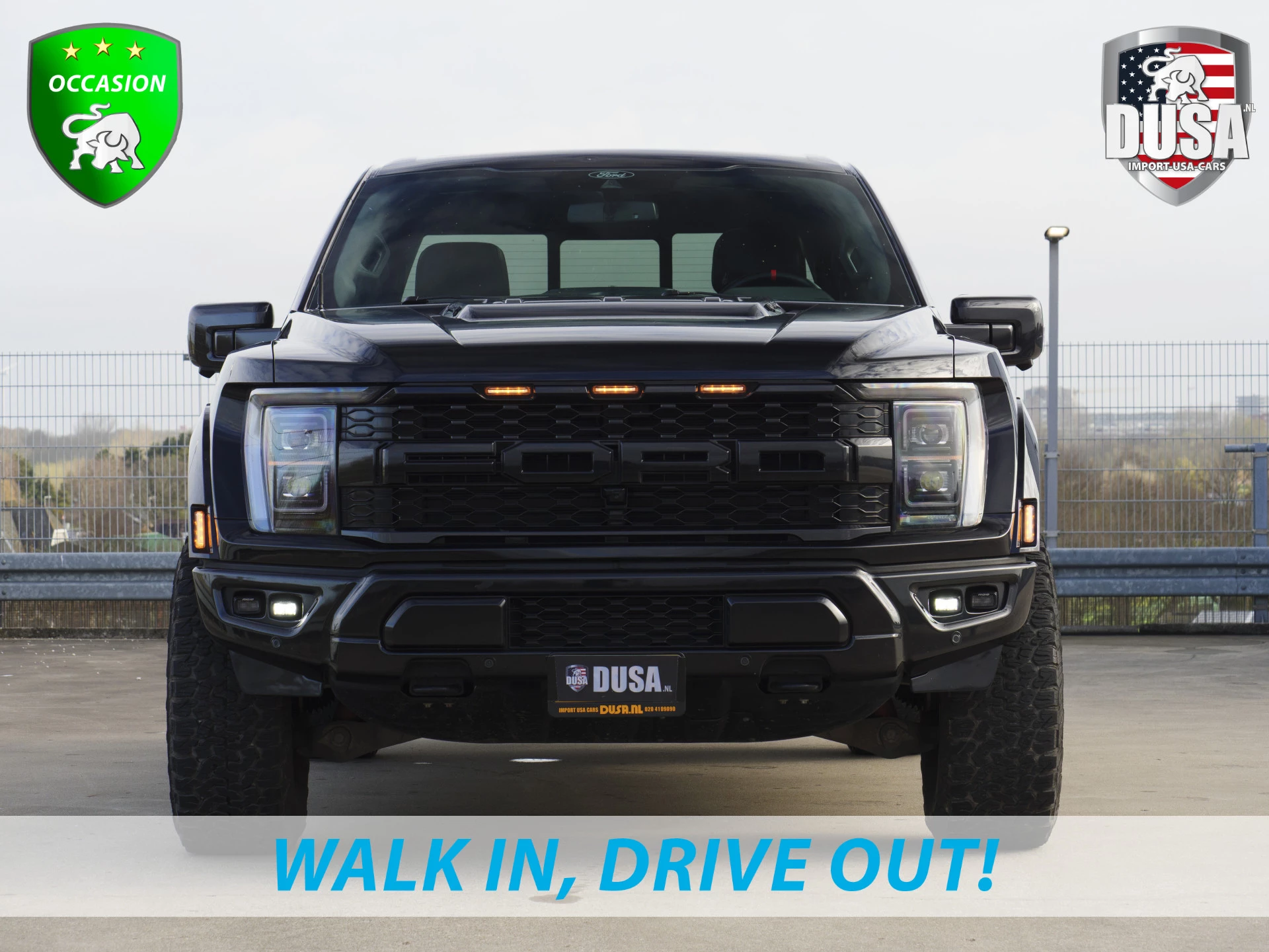 Hoofdafbeelding Ford F-150