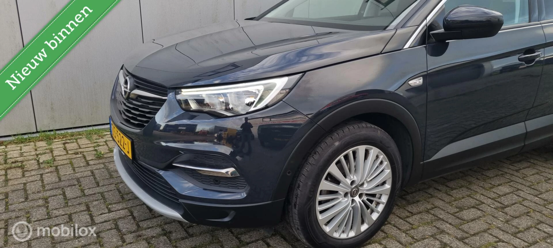 Hoofdafbeelding Opel Grandland X