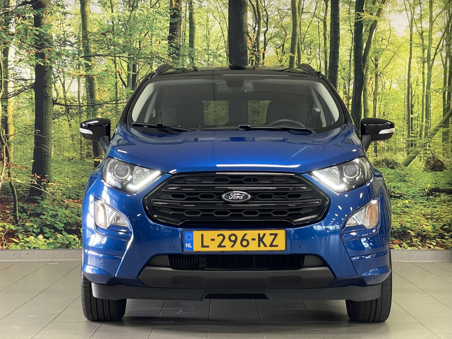 Hoofdafbeelding Ford EcoSport