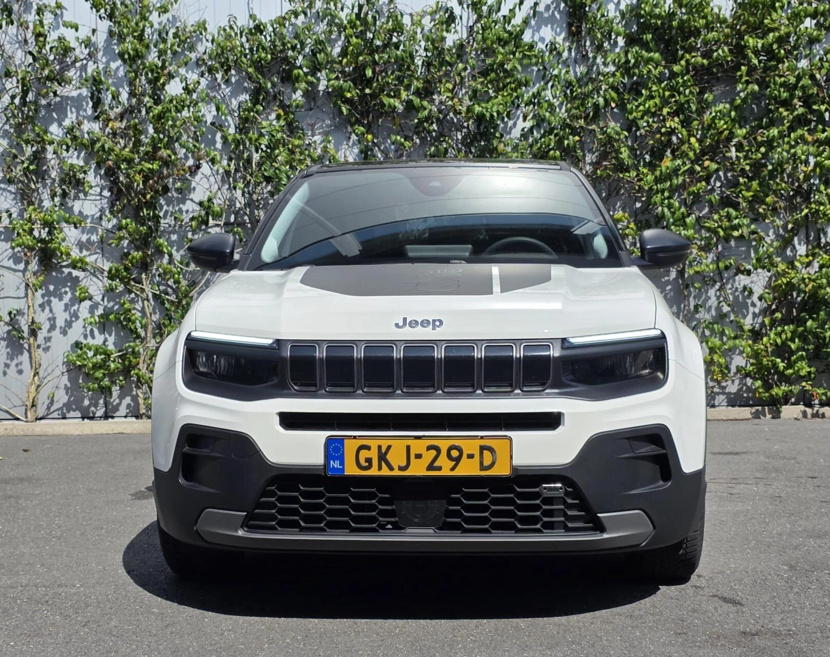 Hoofdafbeelding Jeep Avenger