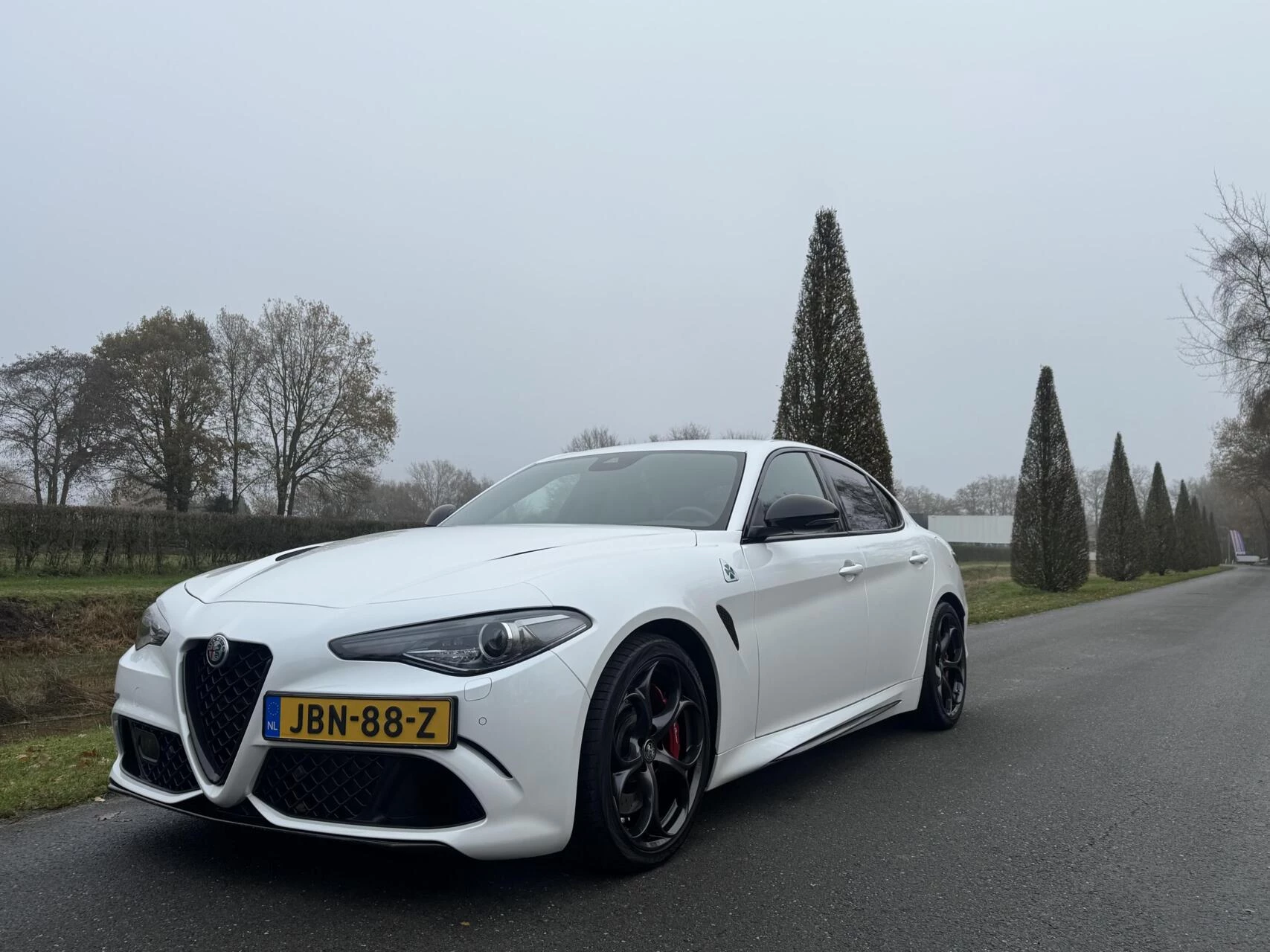 Hoofdafbeelding Alfa Romeo Giulia