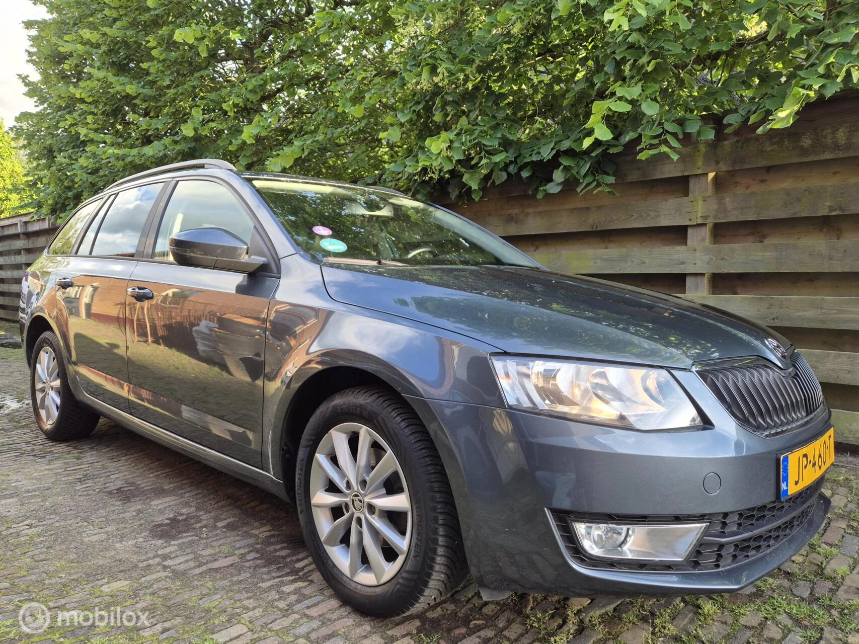 Hoofdafbeelding Škoda Octavia