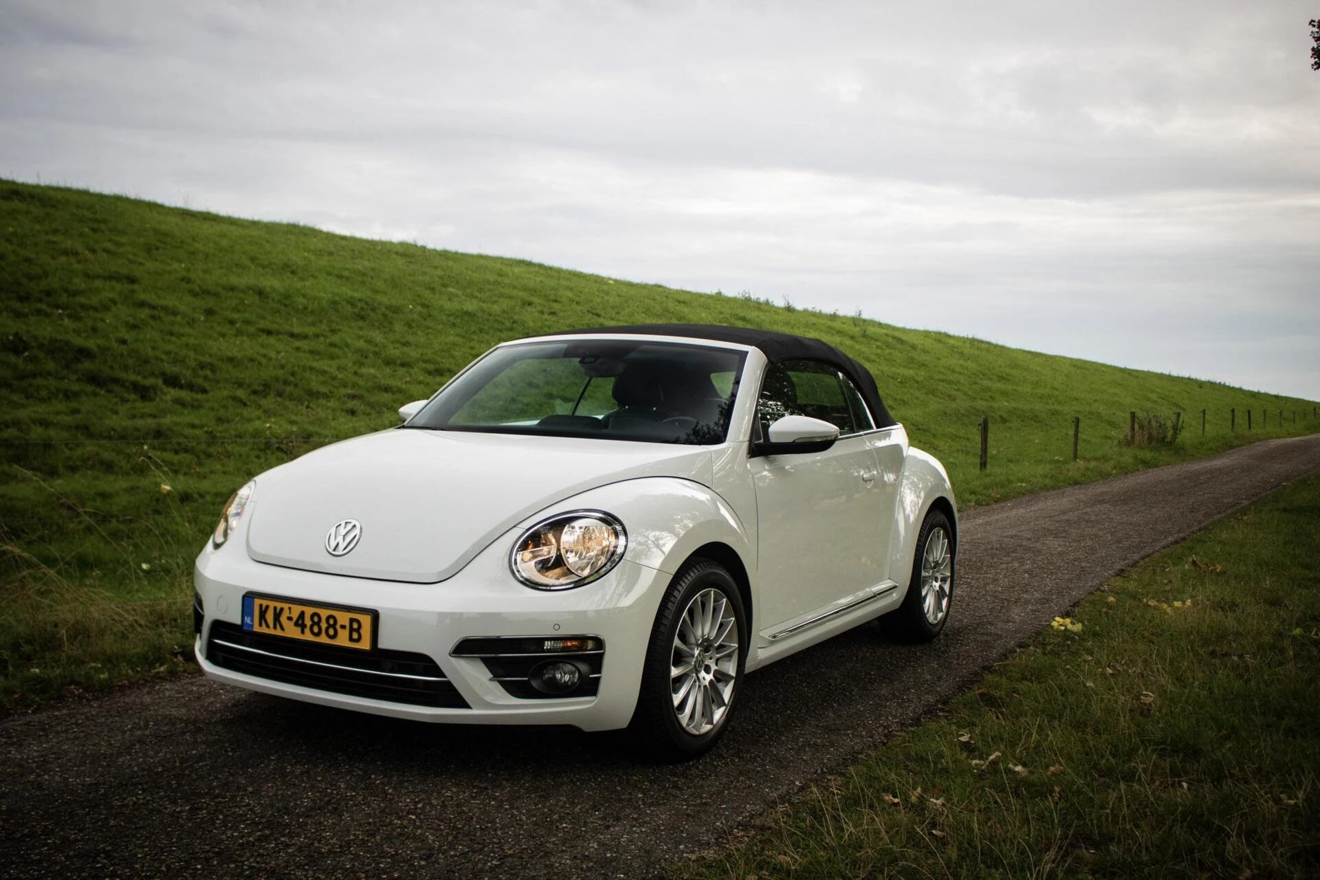 Hoofdafbeelding Volkswagen Beetle