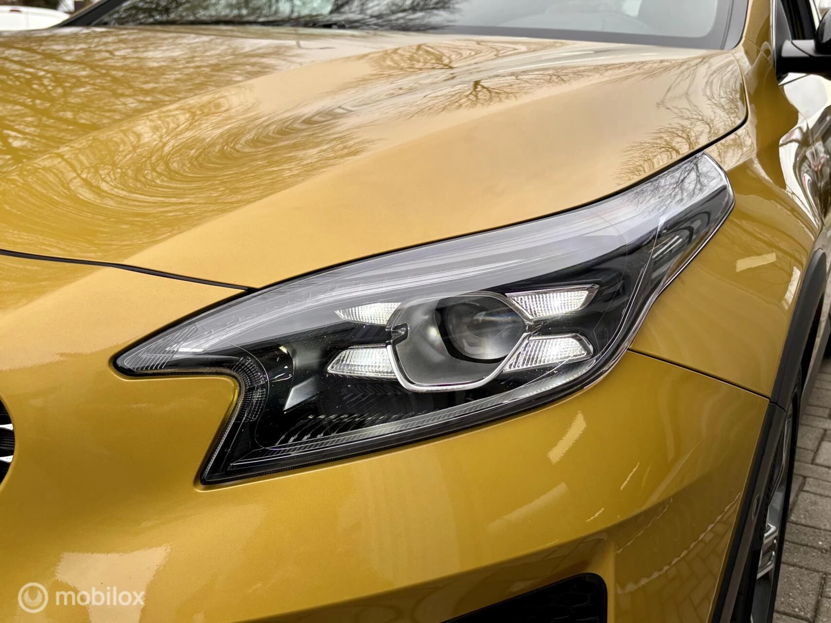 Hoofdafbeelding Kia XCeed