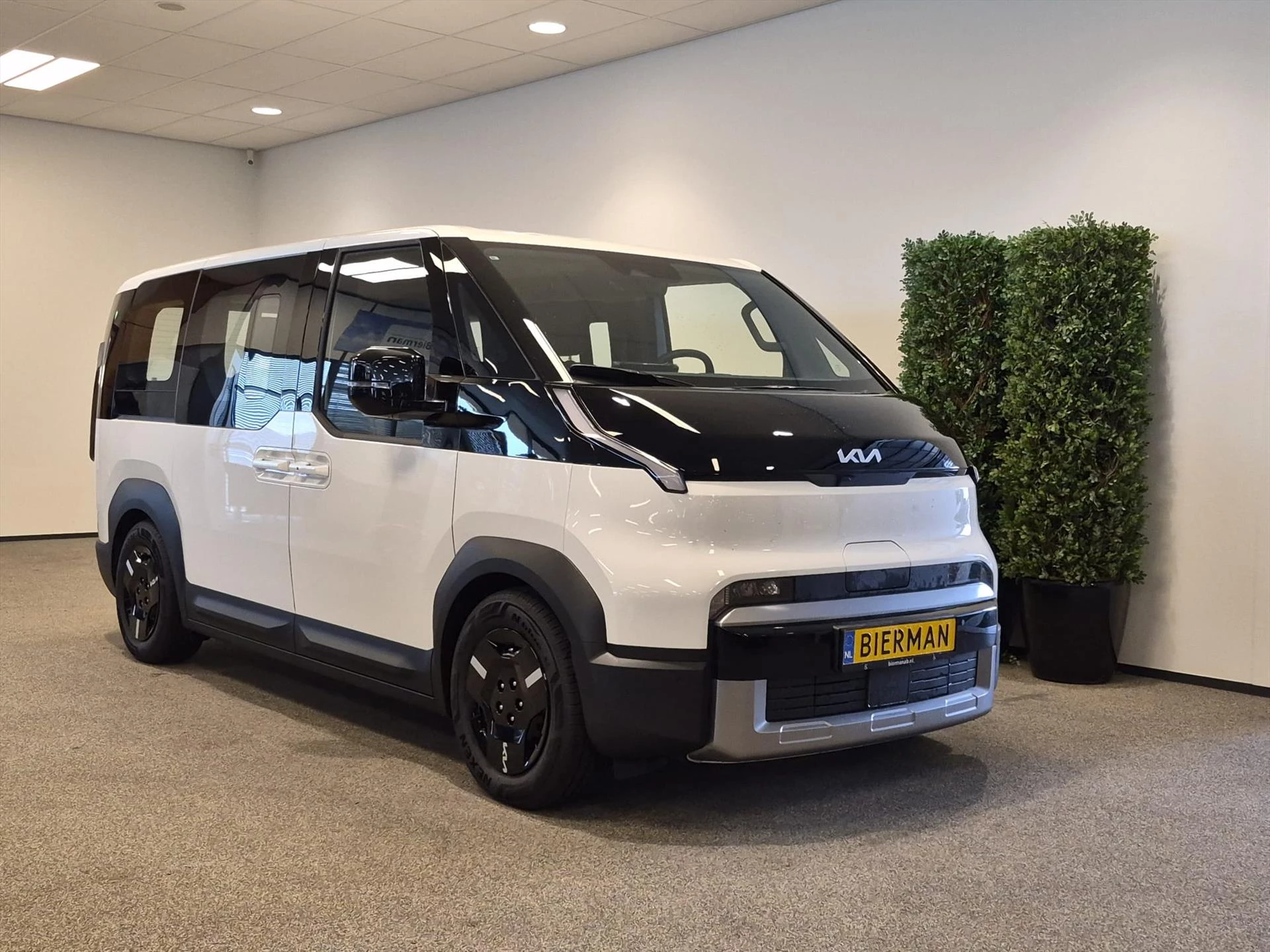 Hoofdafbeelding Kia PV5