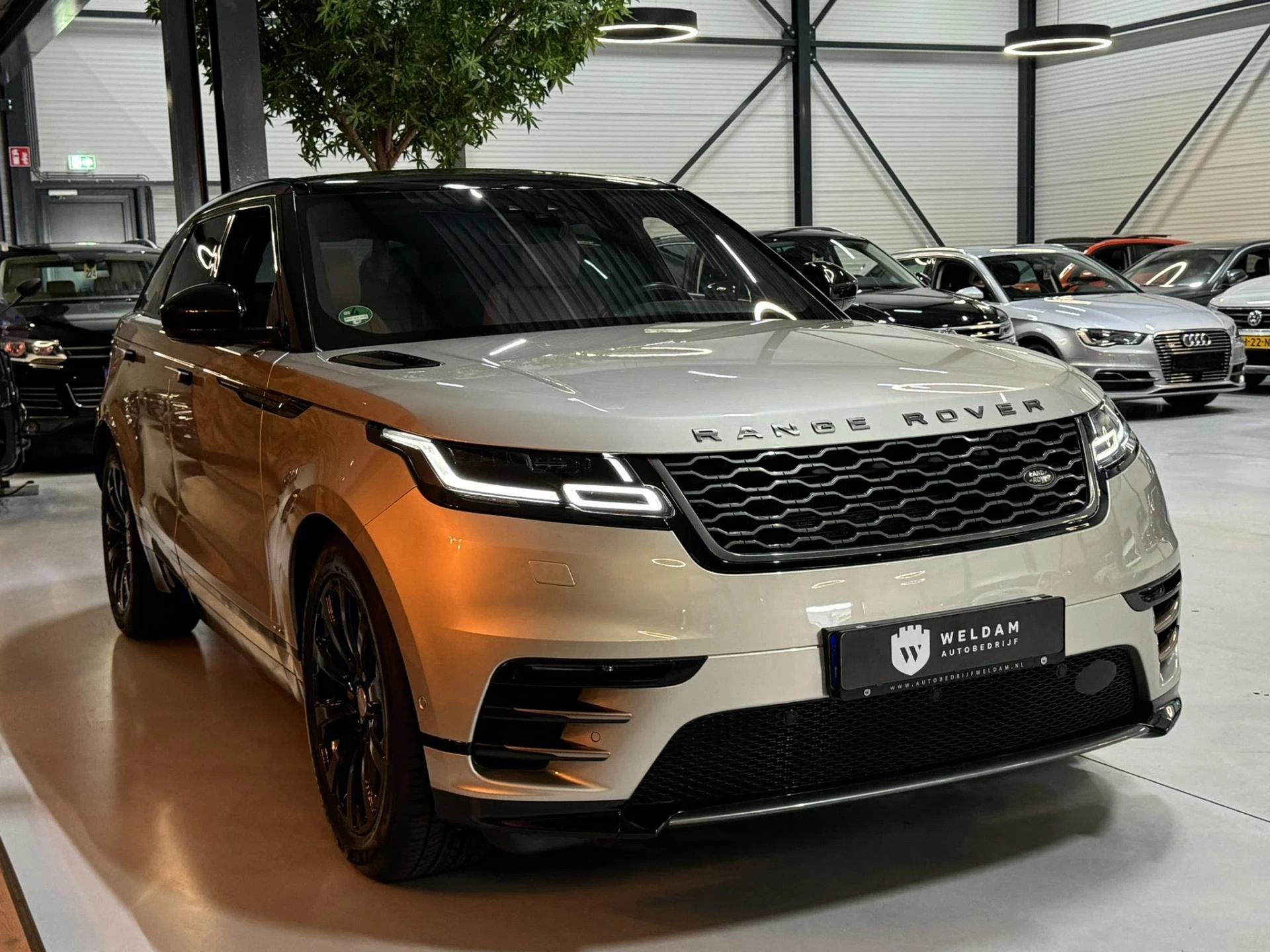 Hoofdafbeelding Land Rover Range Rover Velar