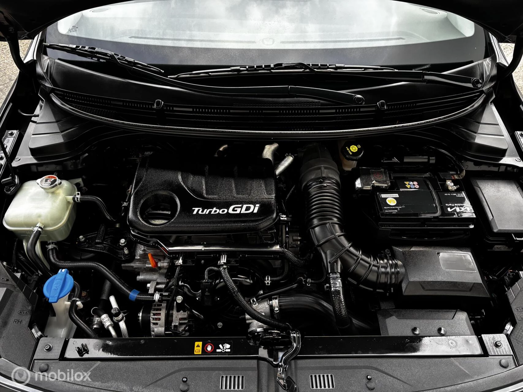 Hoofdafbeelding Kia Rio