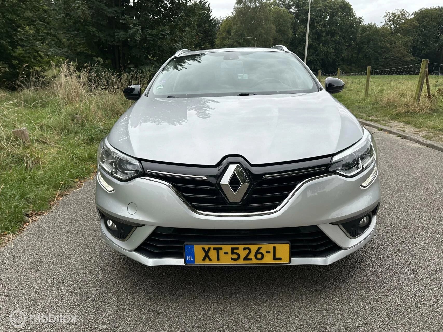 Hoofdafbeelding Renault Mégane