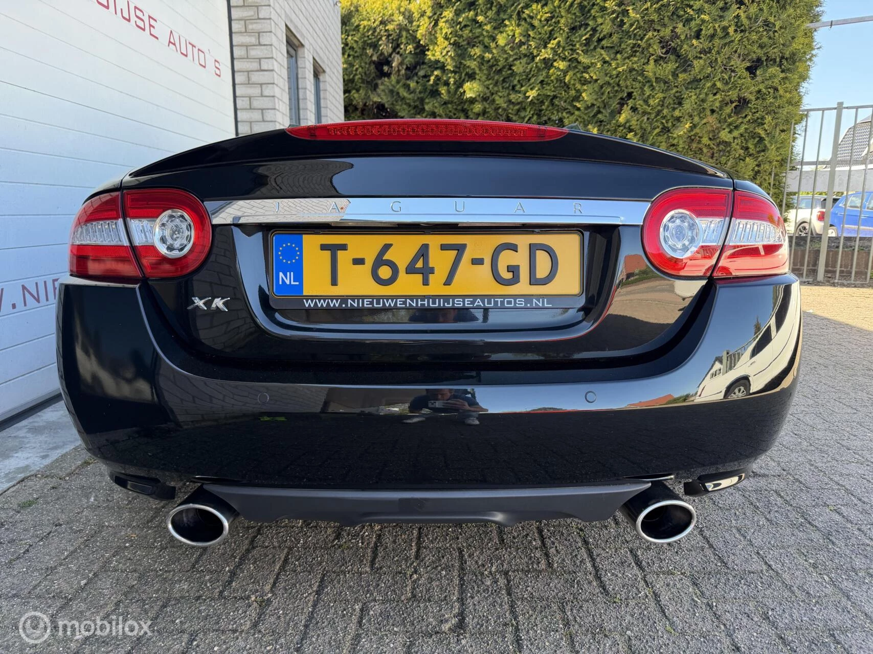 Hoofdafbeelding Jaguar XK