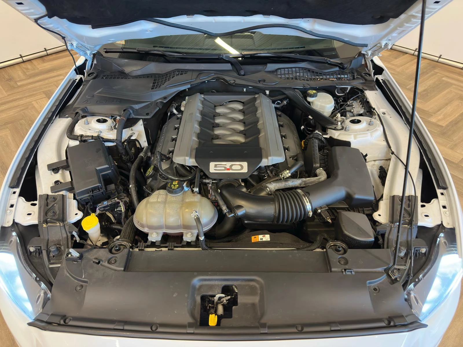 Hoofdafbeelding Ford Mustang