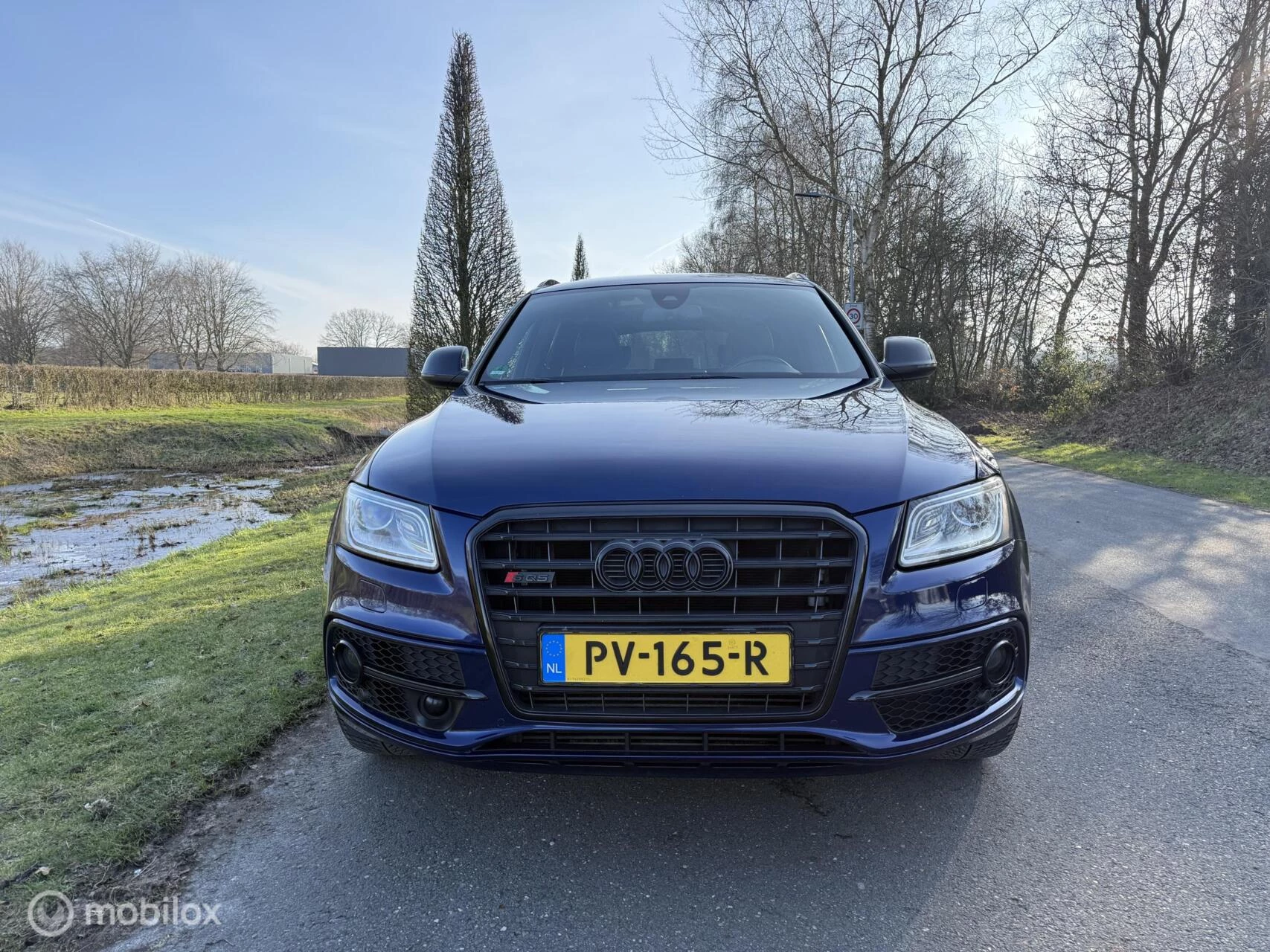 Hoofdafbeelding Audi SQ5