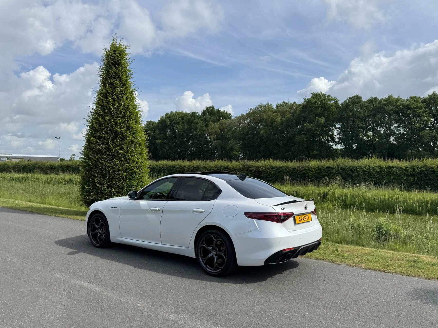 Hoofdafbeelding Alfa Romeo Giulia